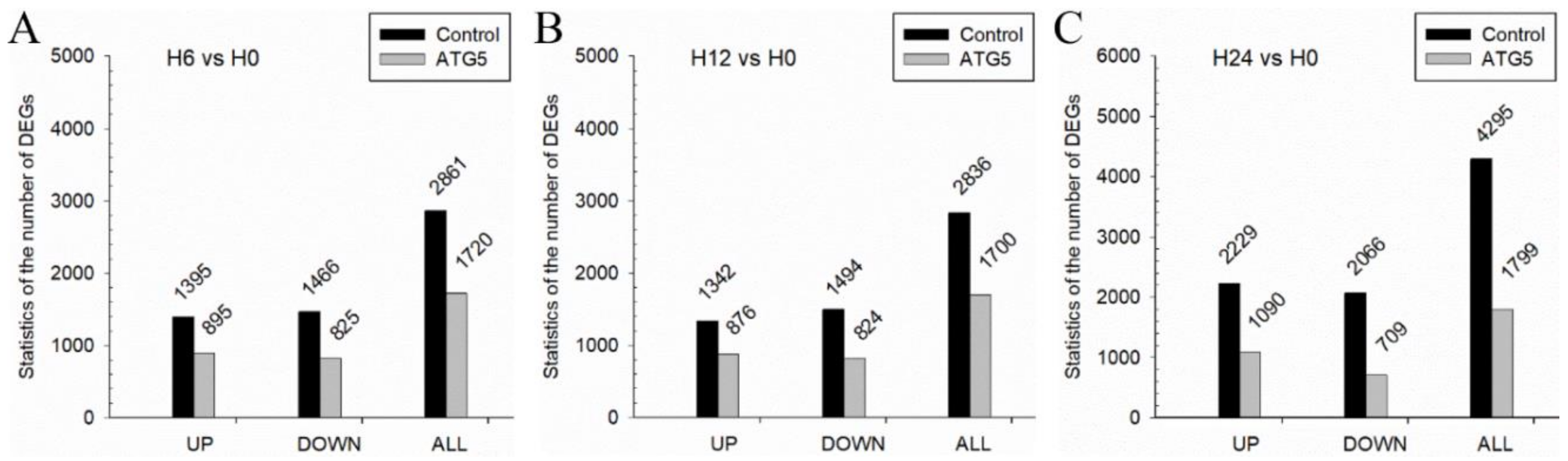 Biomolecules 10 01296 g007 Biomolecules 10 01296 g007