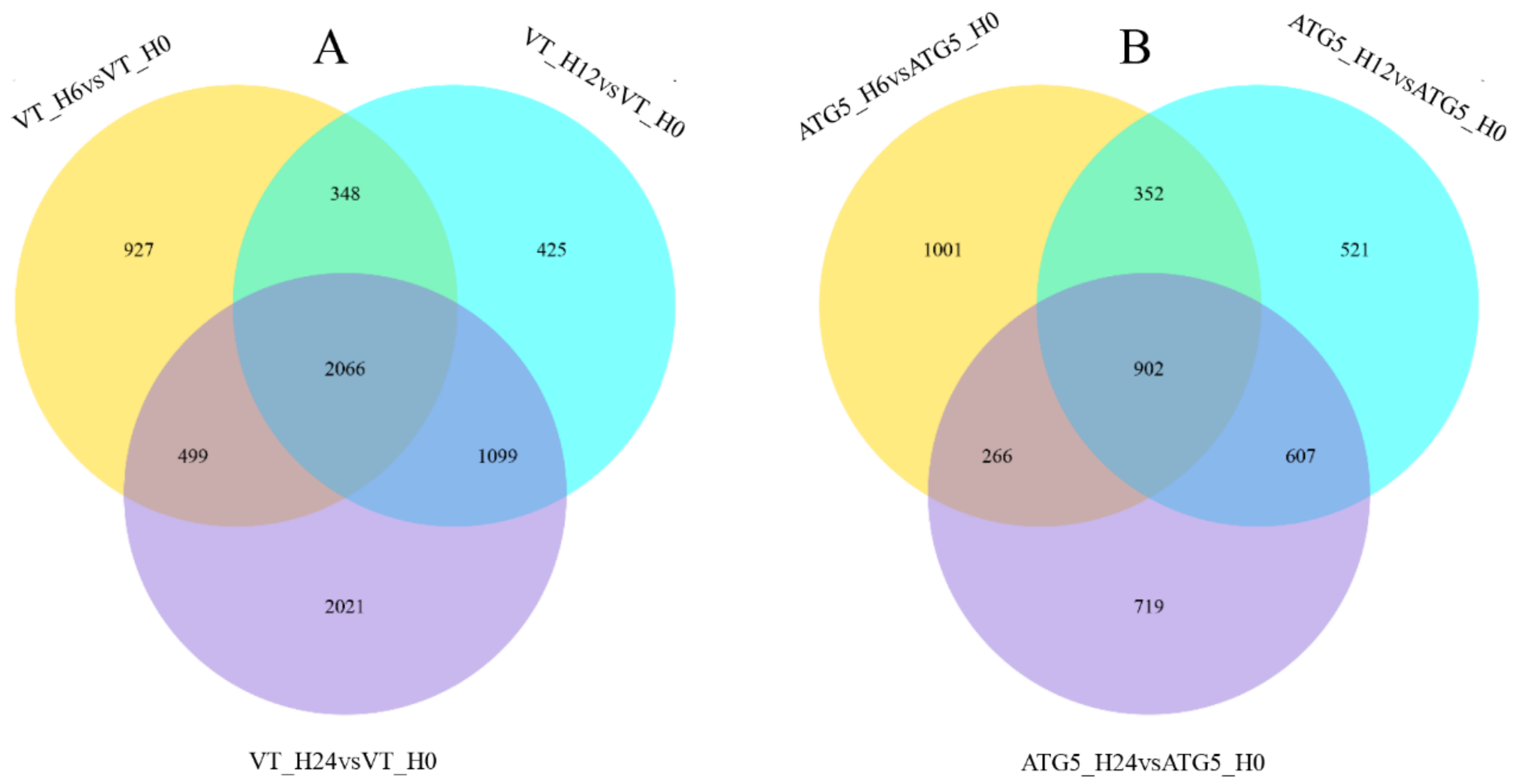 Biomolecules 10 01296 g008 Biomolecules 10 01296 g008