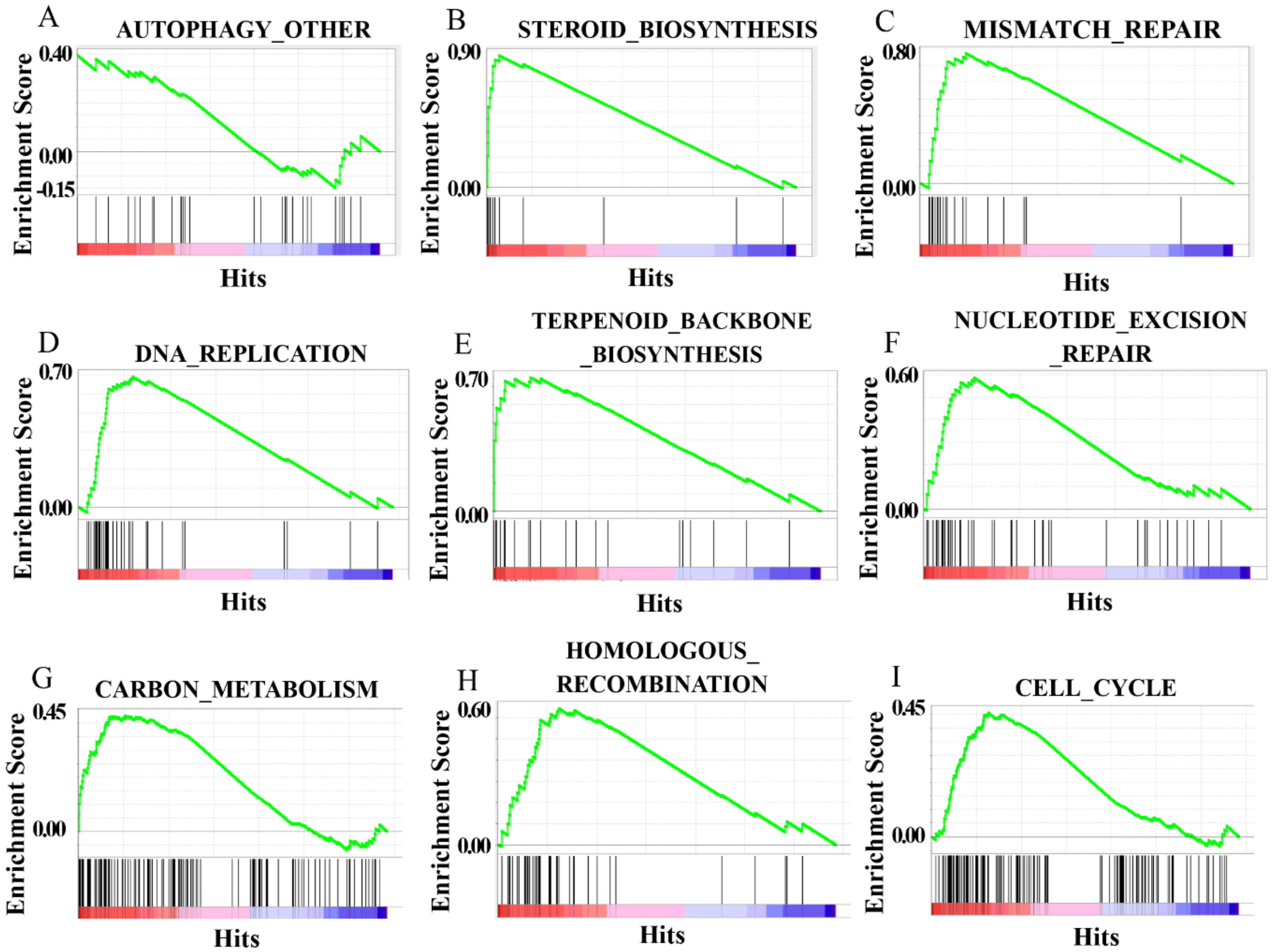 Biomolecules 10 01296 g012 Biomolecules 10 01296 g012