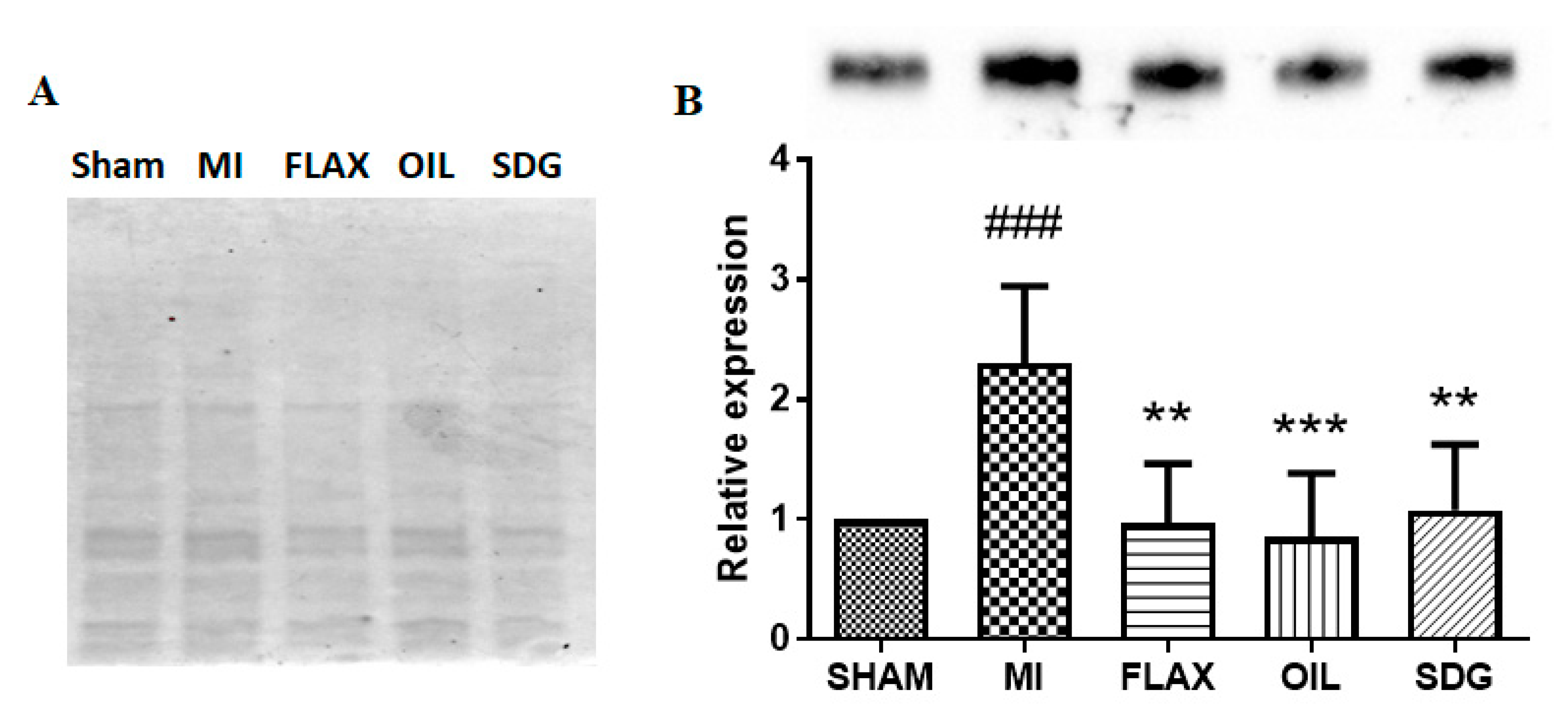 Biomolecules 10 01297 g002