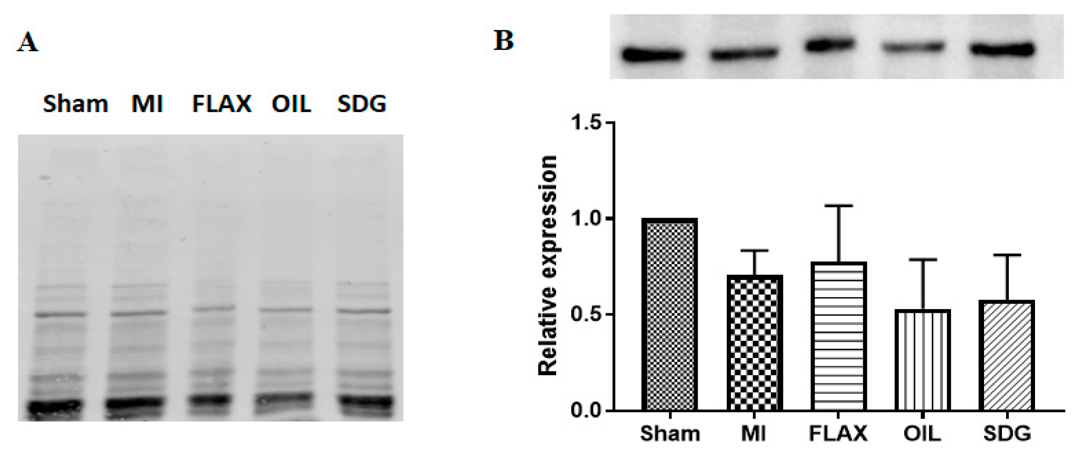 Biomolecules 10 01297 g005