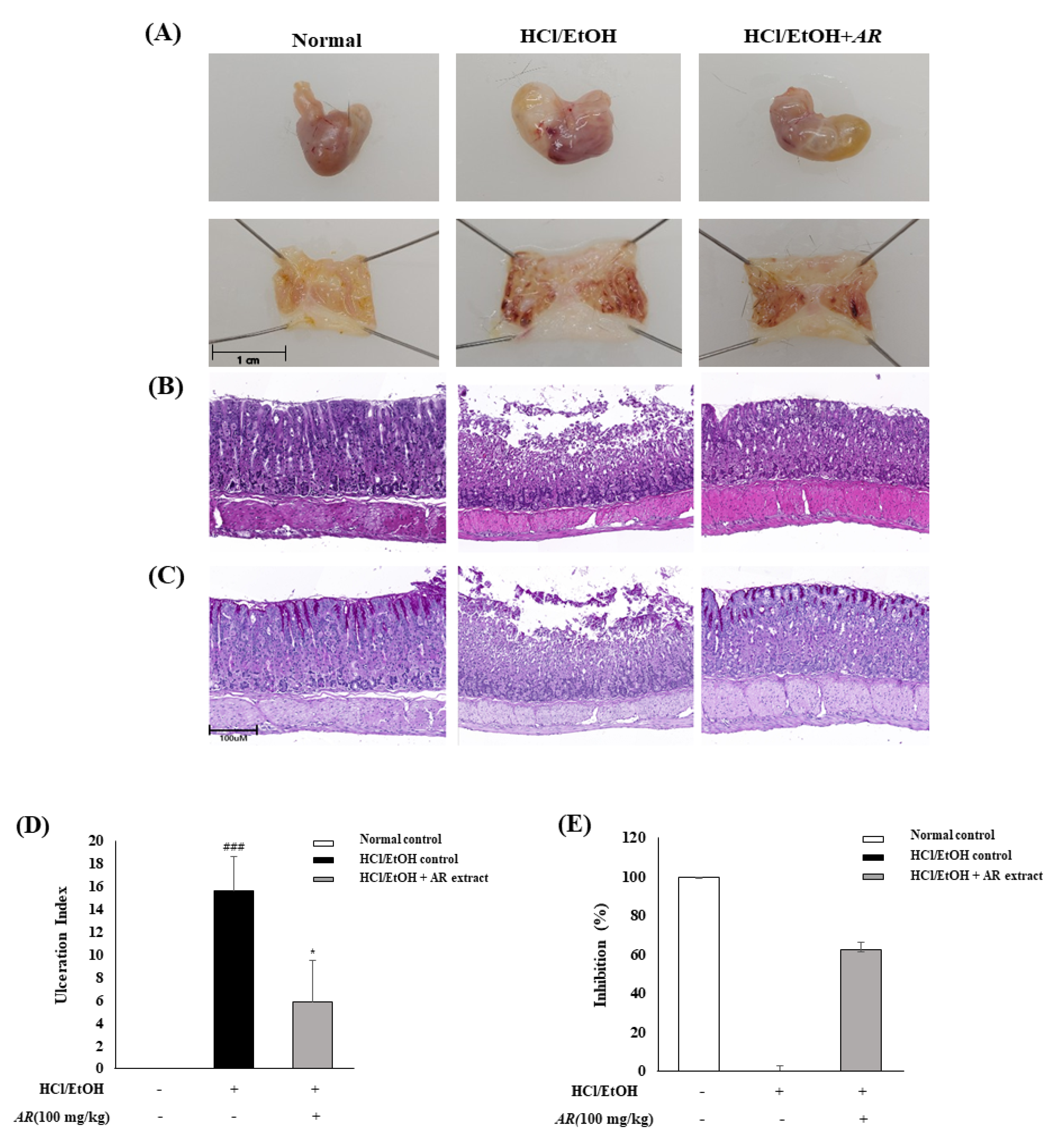 Biomolecules 10 01298 g004 Biomolecules 10 01298 g004