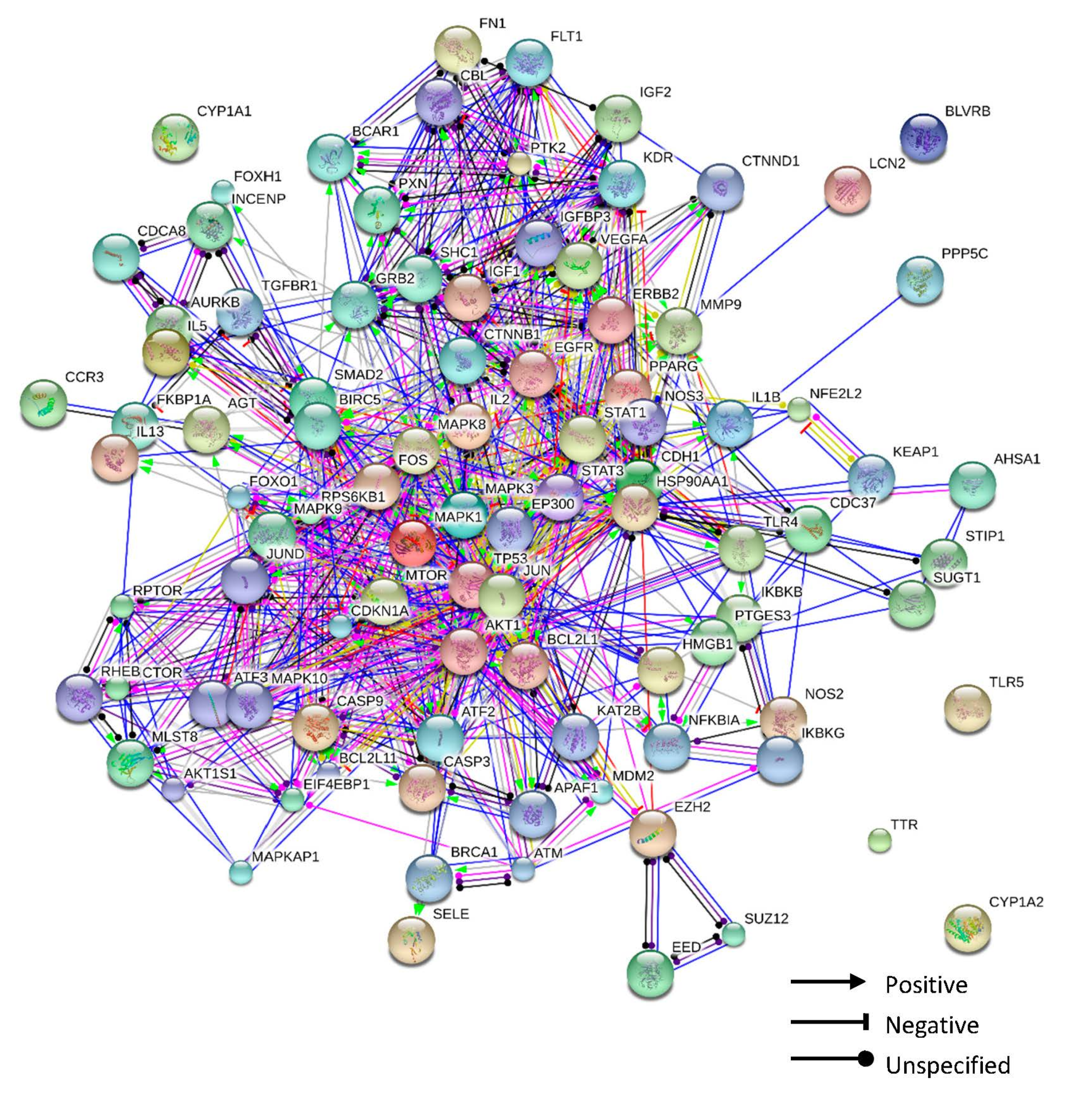 Biomolecules 10 01298 g006 Biomolecules 10 01298 g006