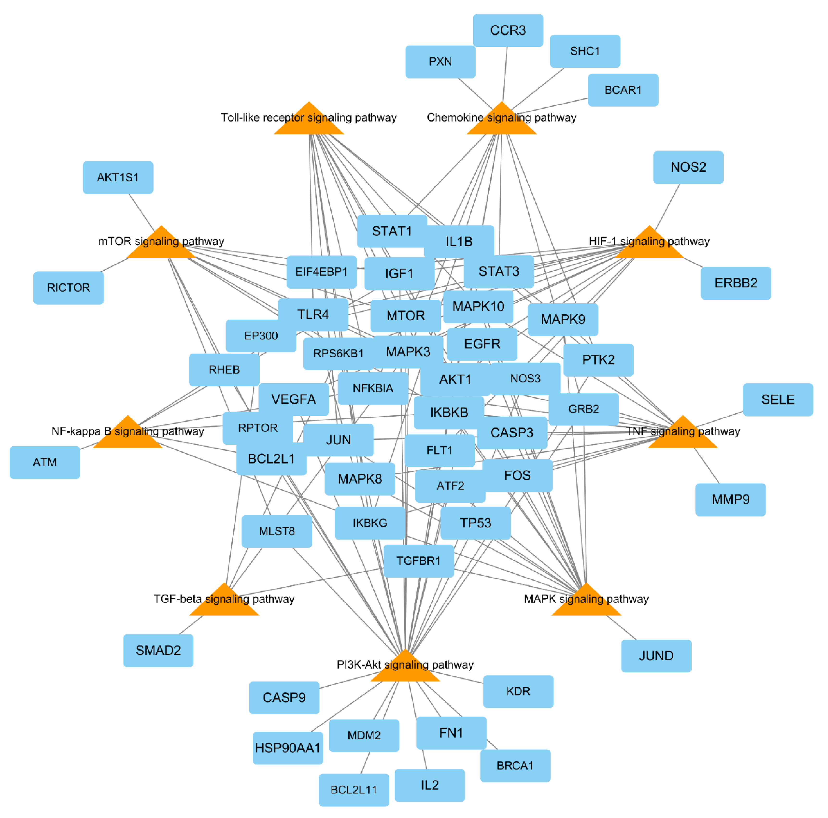 Biomolecules 10 01298 g007 Biomolecules 10 01298 g007