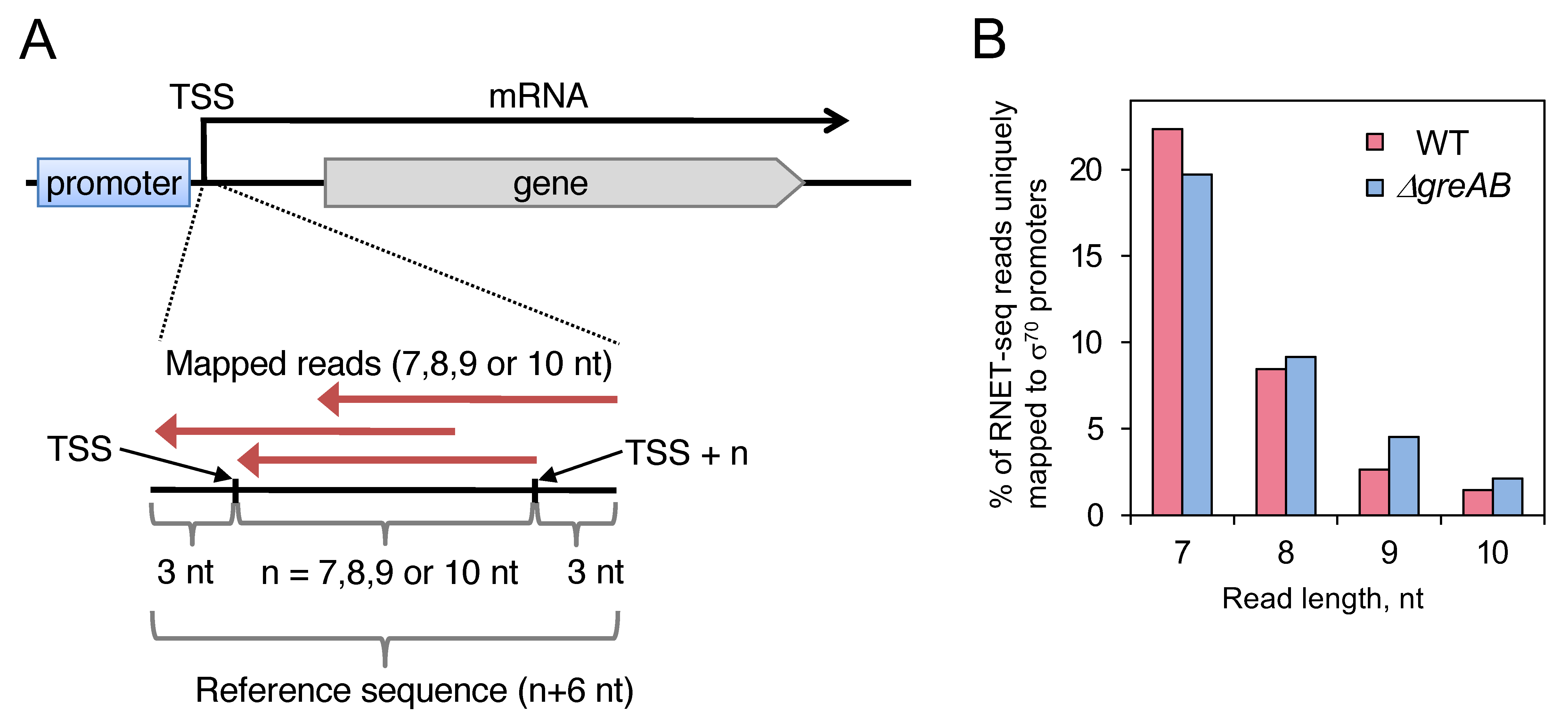 Biomolecules 10 01299 g002 Biomolecules 10 01299 g002
