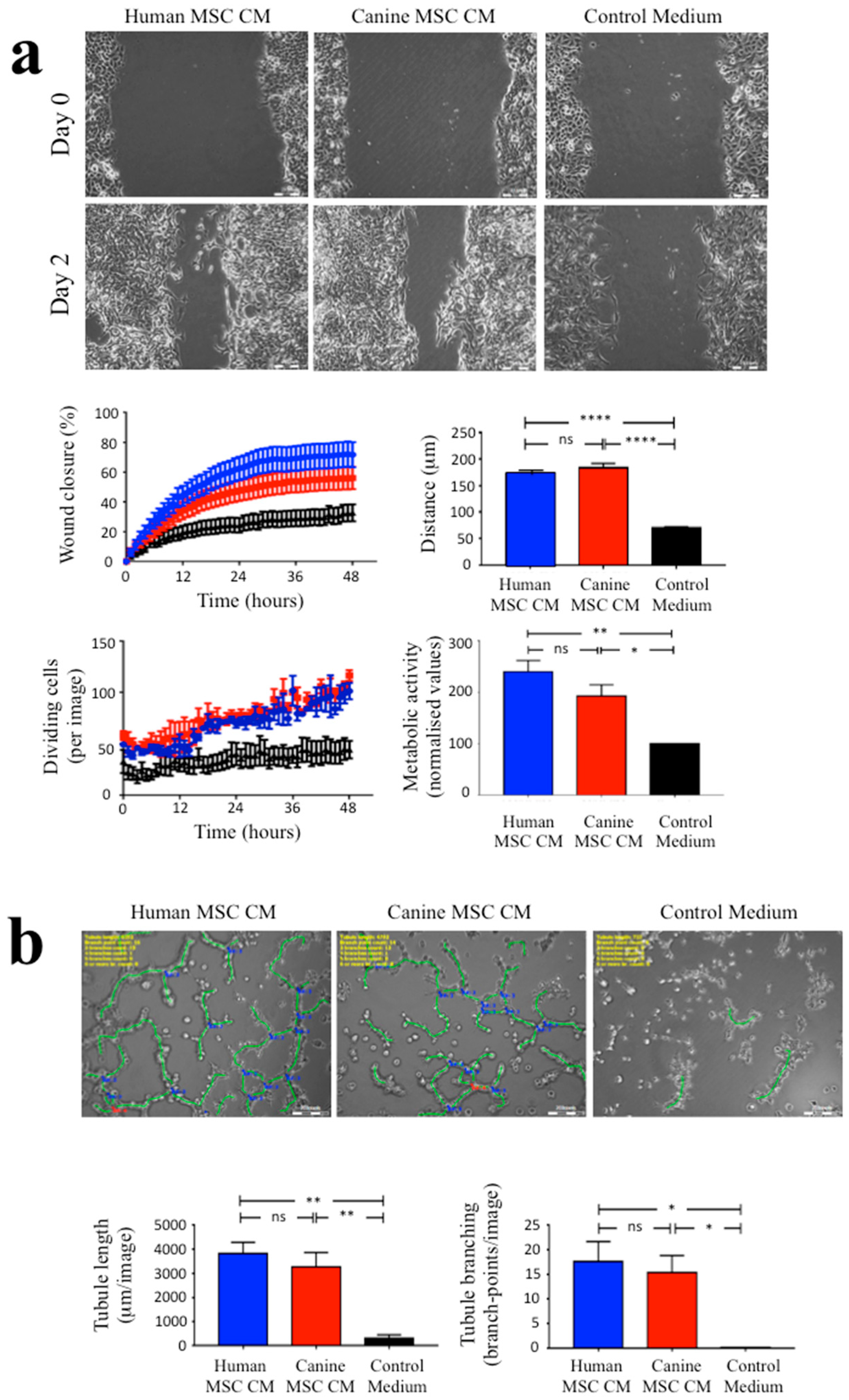 Biomolecules 10 01301 g003 Biomolecules 10 01301 g003