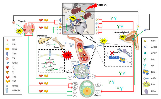 Ｋ Polyolefin‐Based Separator with Interfacial Chemistry