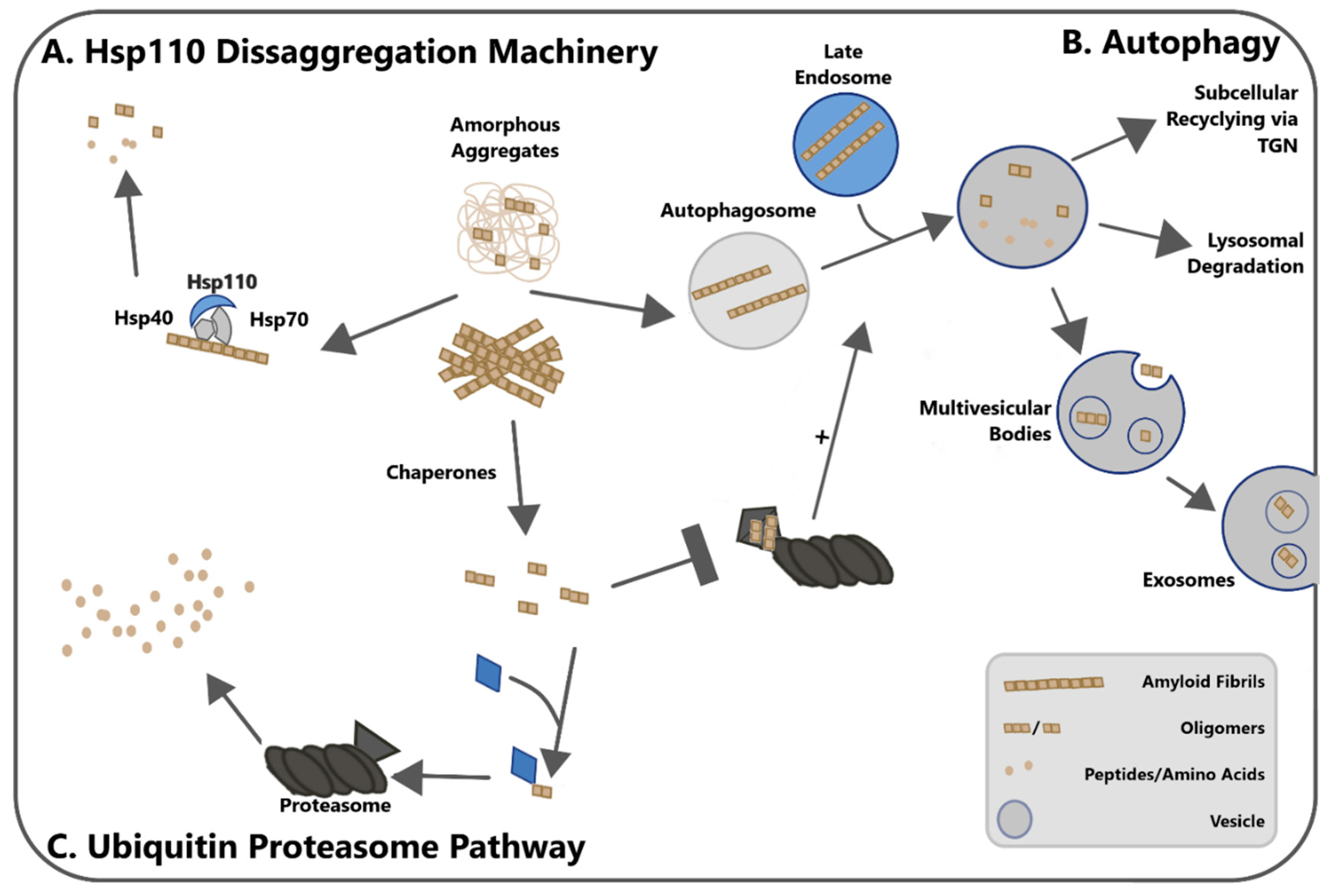 Biomolecules 10 01305 g002