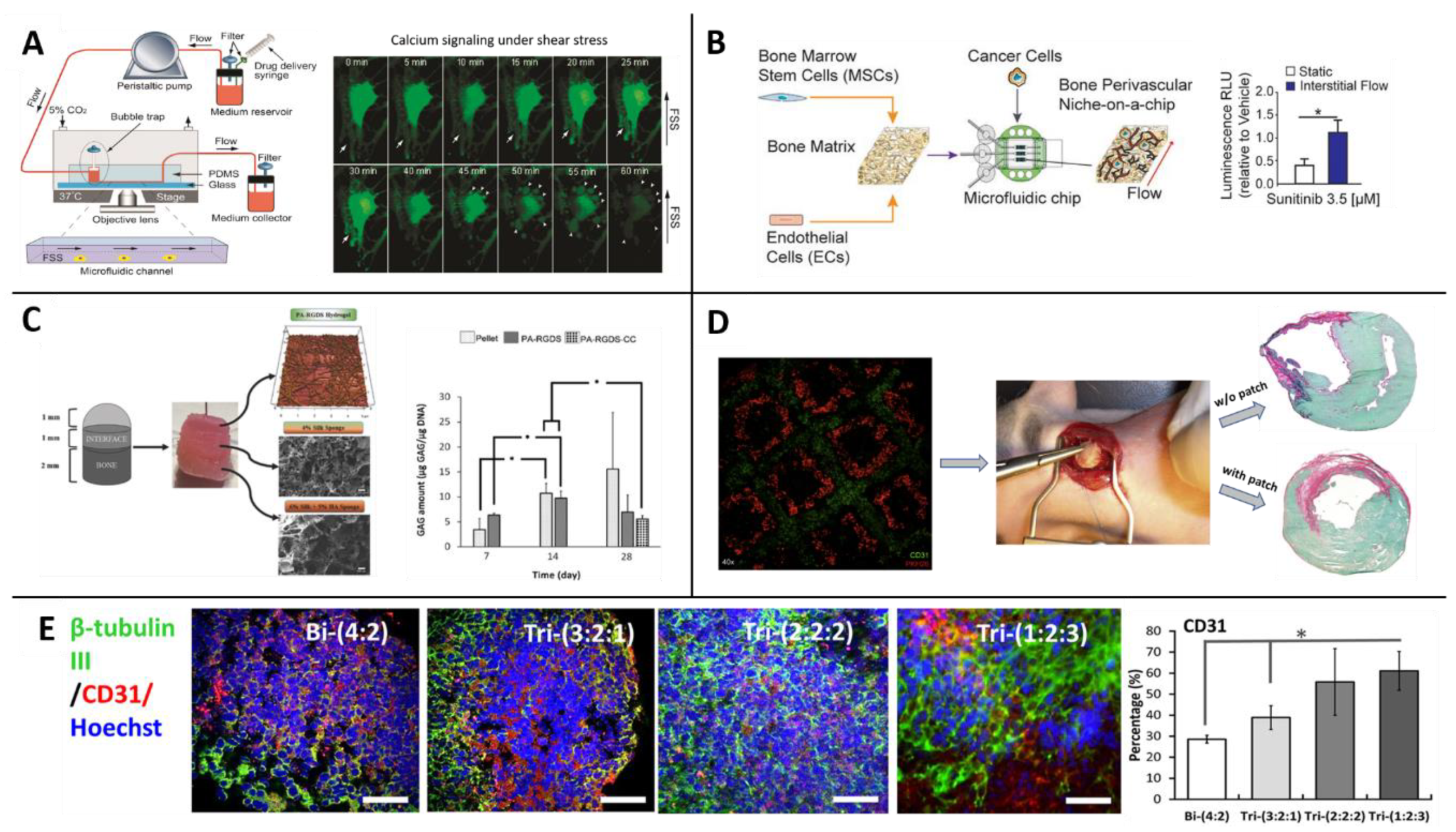 Biomolecules 10 01306 g004 Biomolecules 10 01306 g004