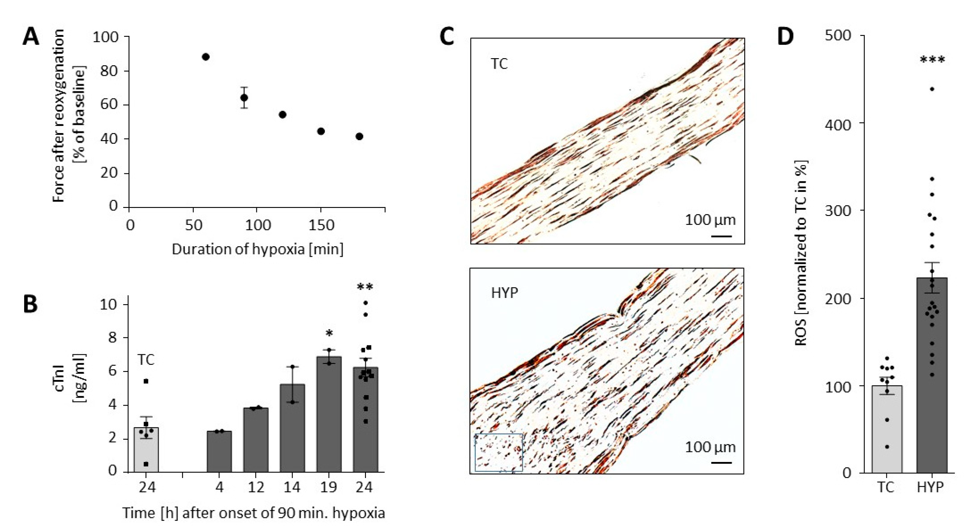 Biomolecules 10 01309 g002 Biomolecules 10 01309 g002