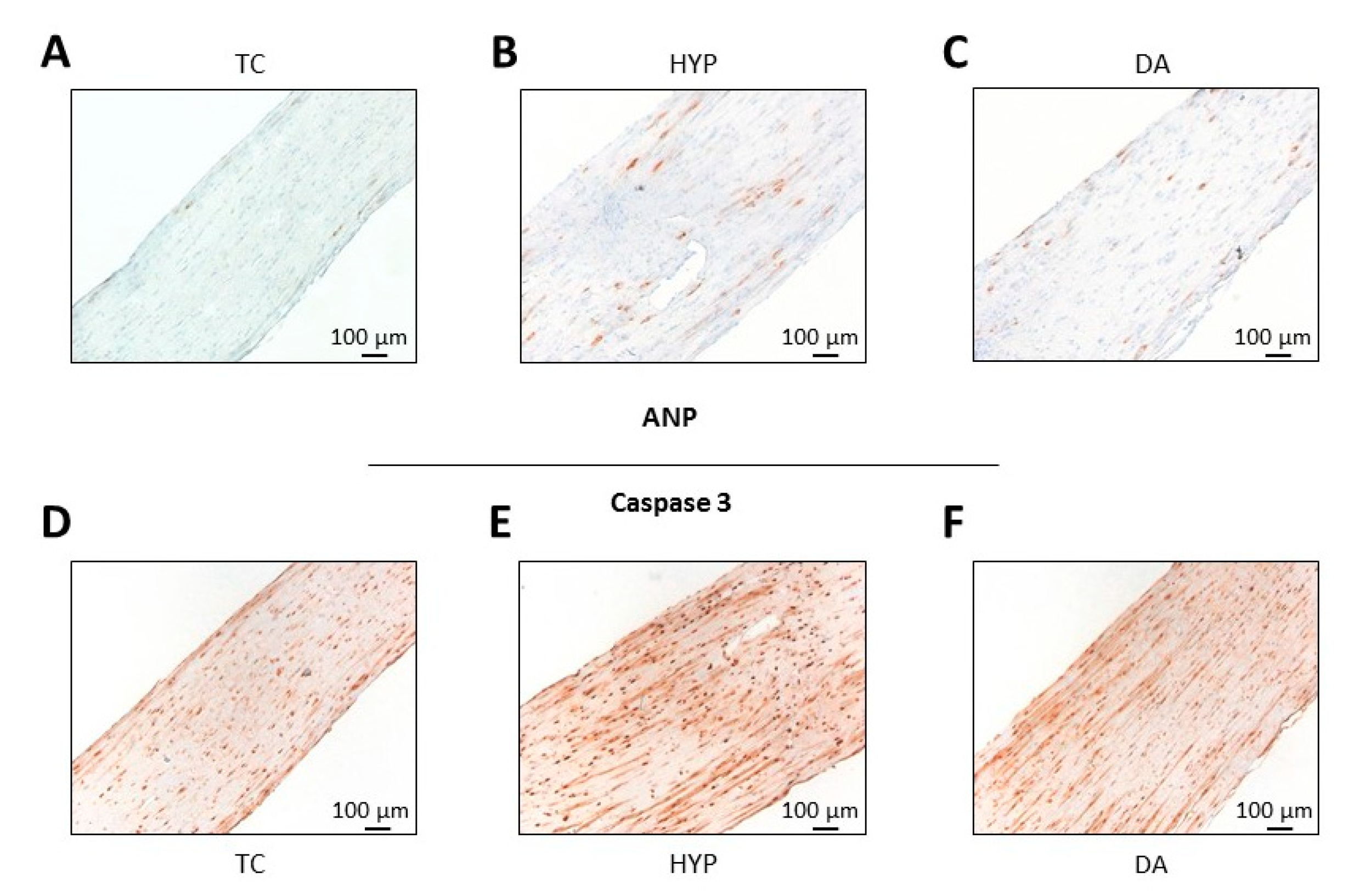 Biomolecules 10 01309 g005 Biomolecules 10 01309 g005