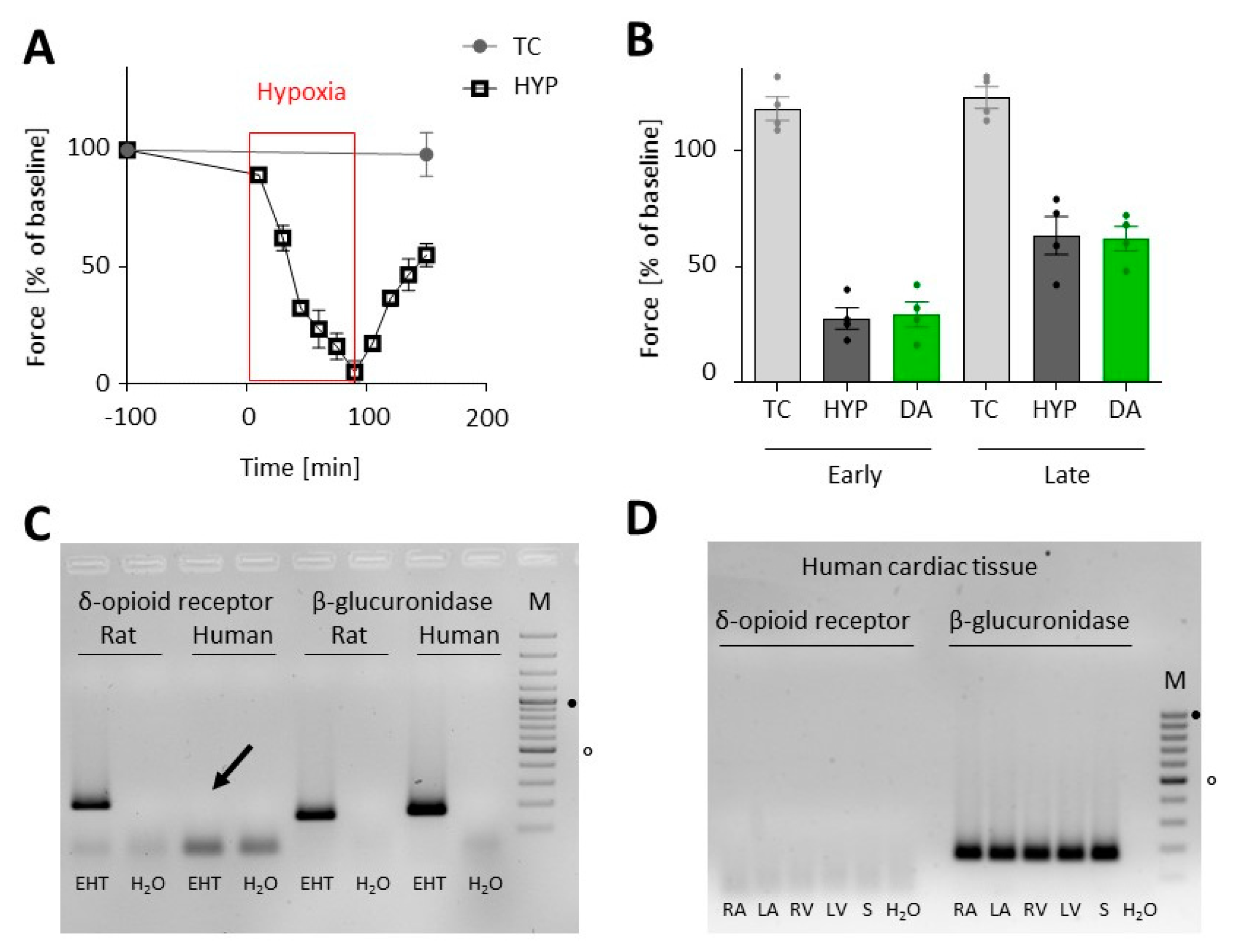 Biomolecules 10 01309 g006 Biomolecules 10 01309 g006