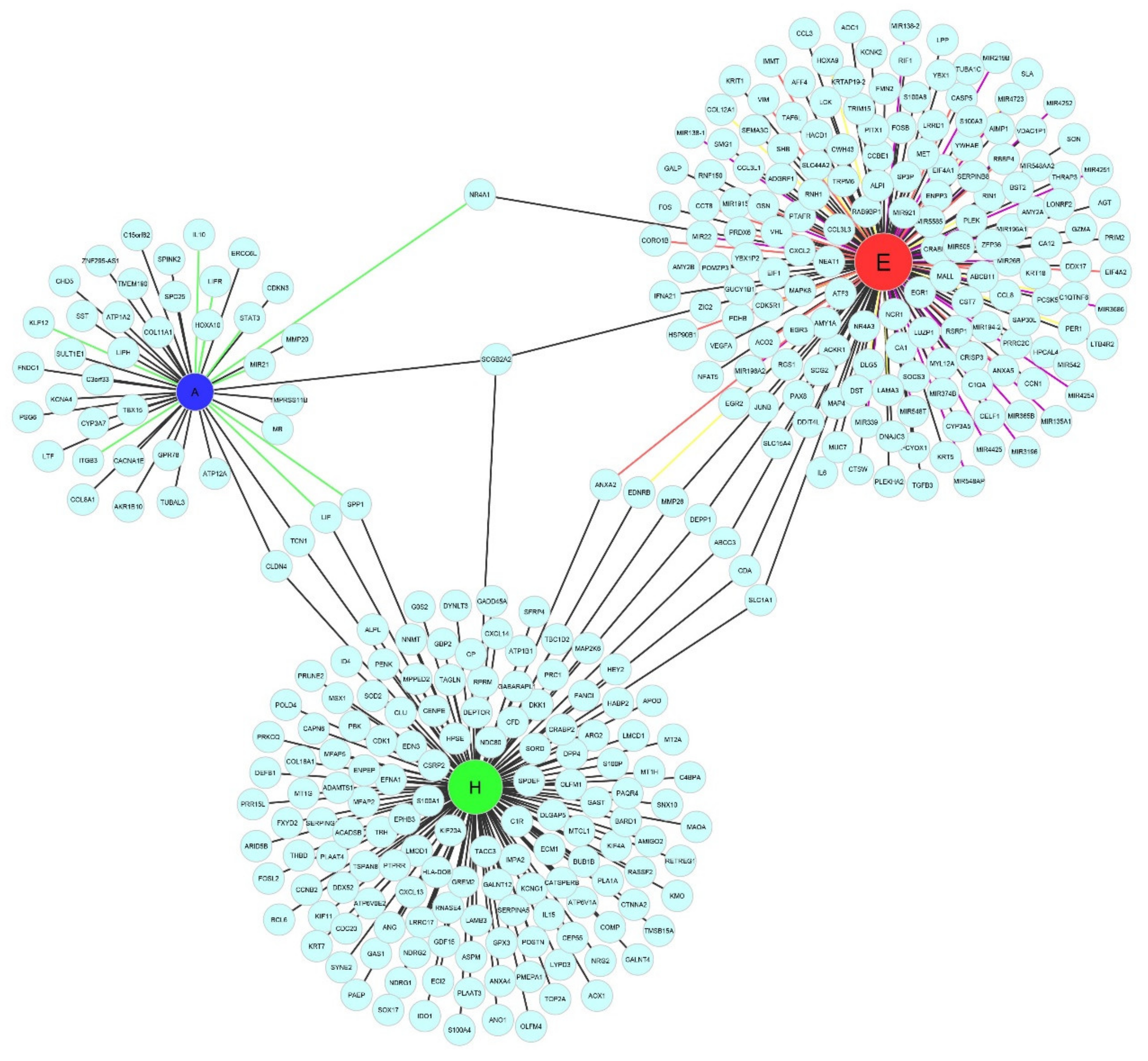 Biomolecules 10 01311 g002 Biomolecules 10 01311 g002