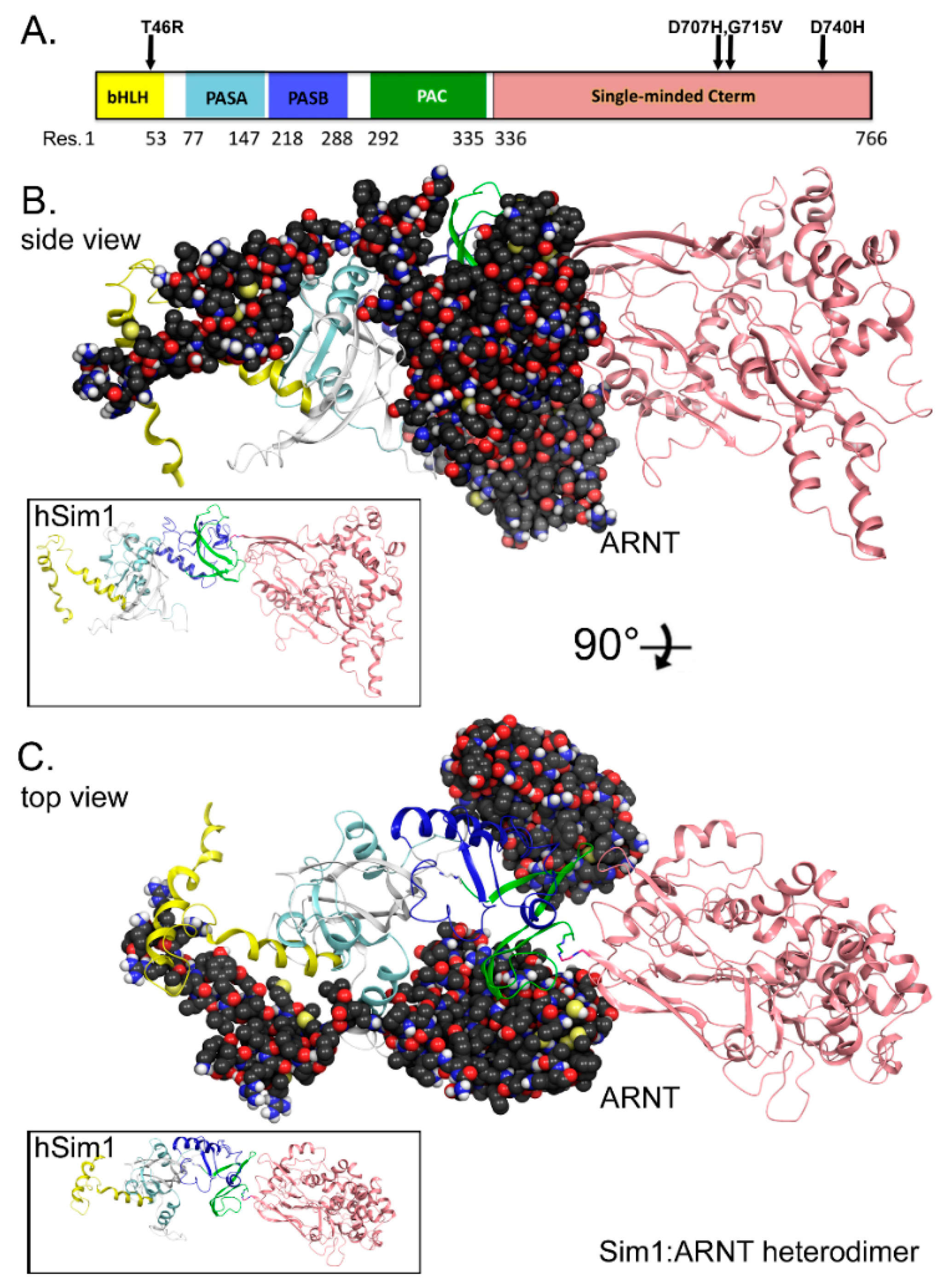 Biomolecules 10 01314 g001