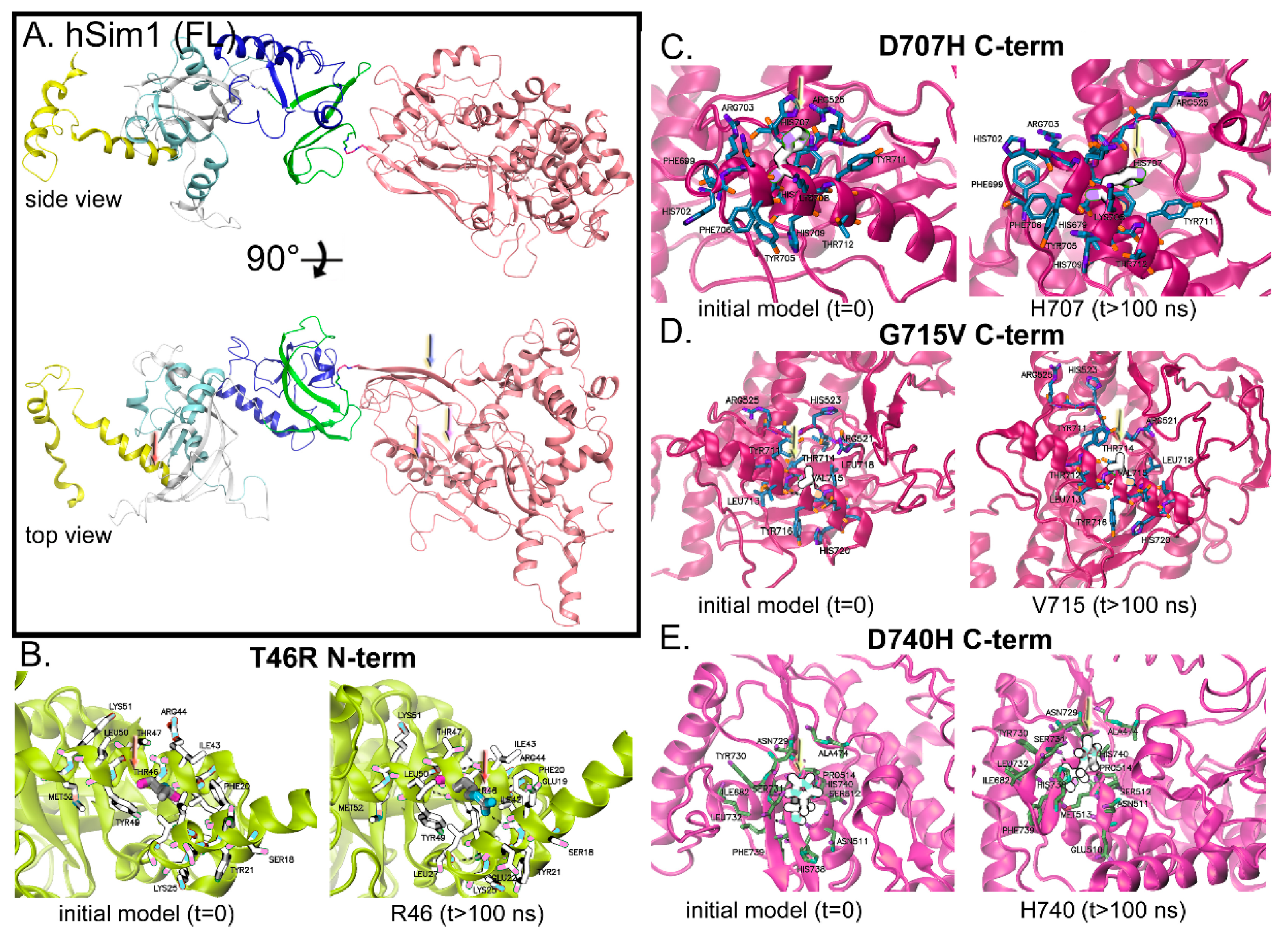 Biomolecules 10 01314 g004
