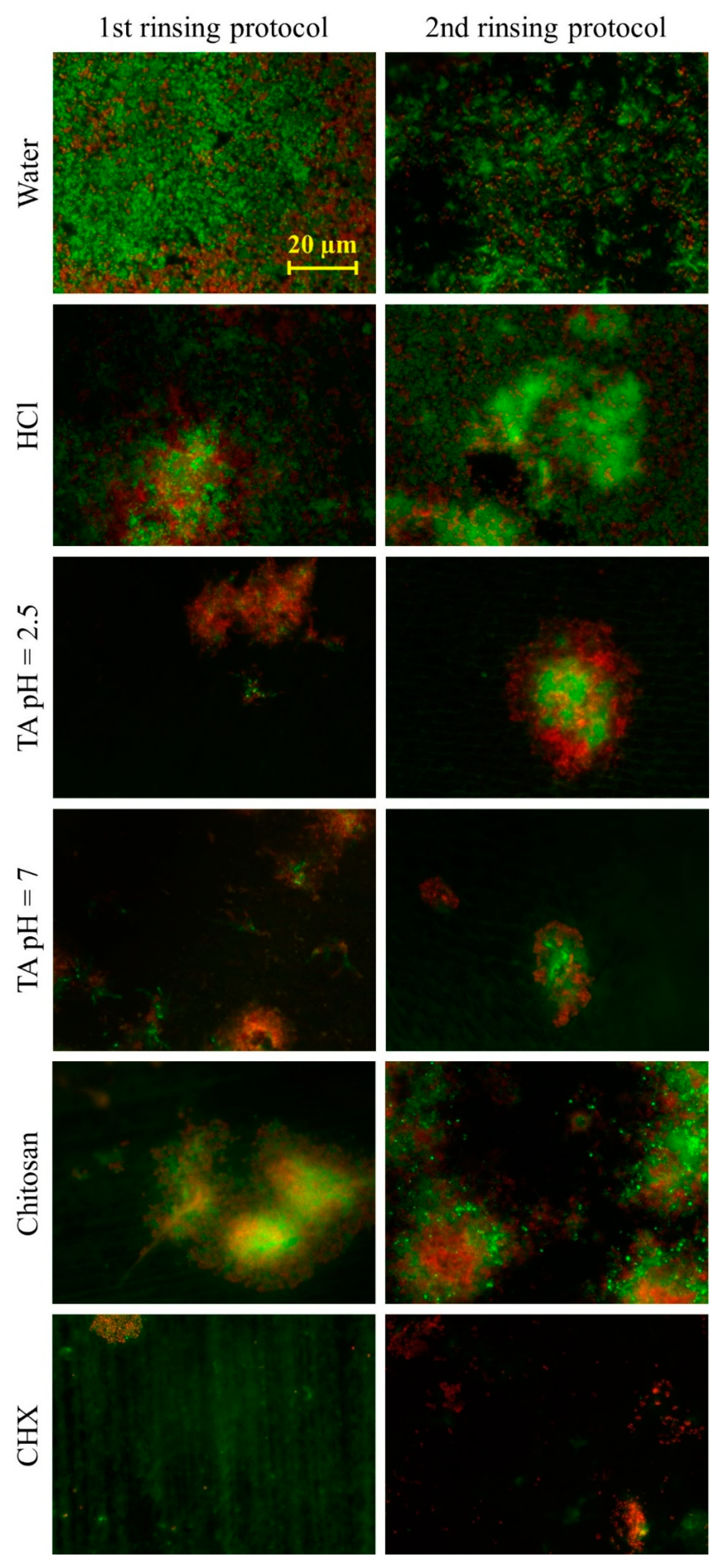 Biomolecules 10 01315 g004