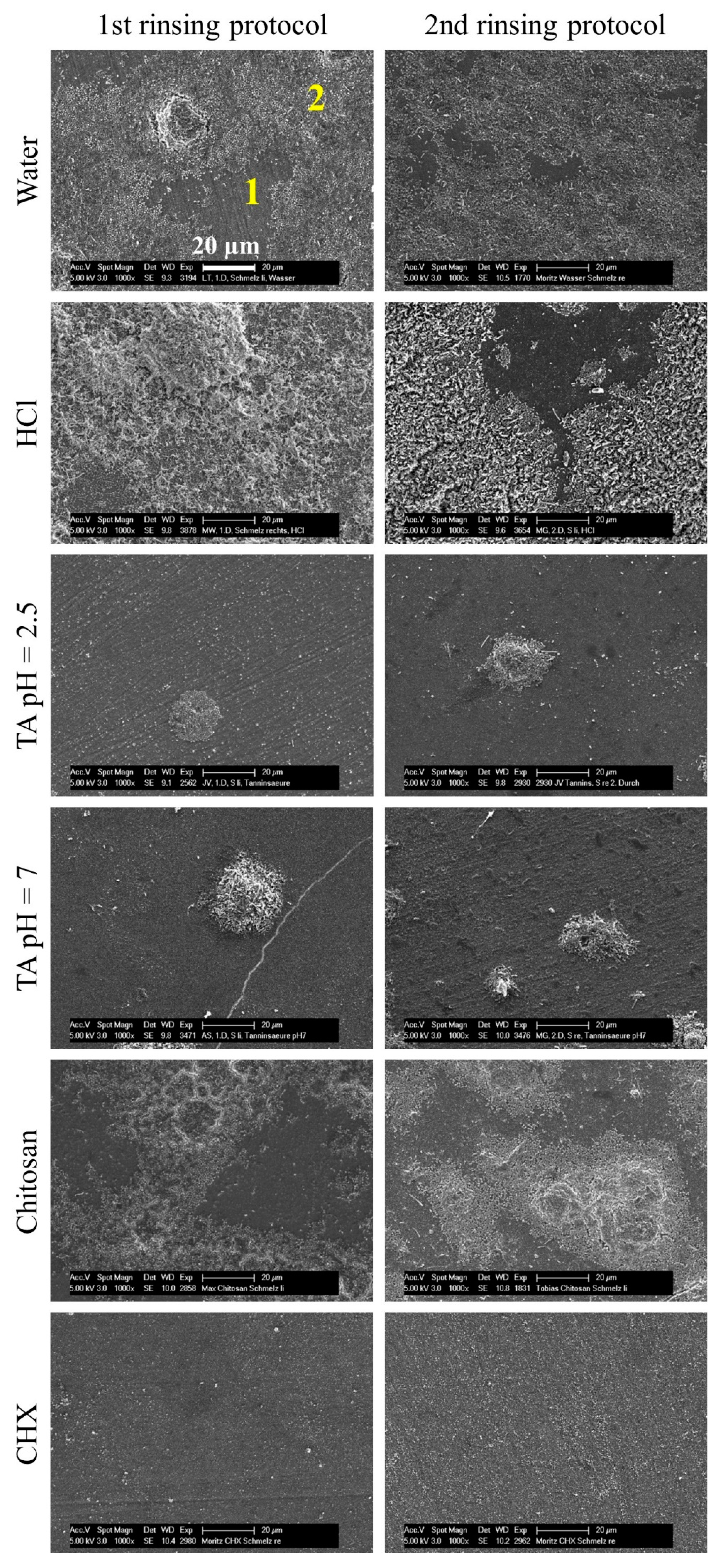 Biomolecules 10 01315 g006