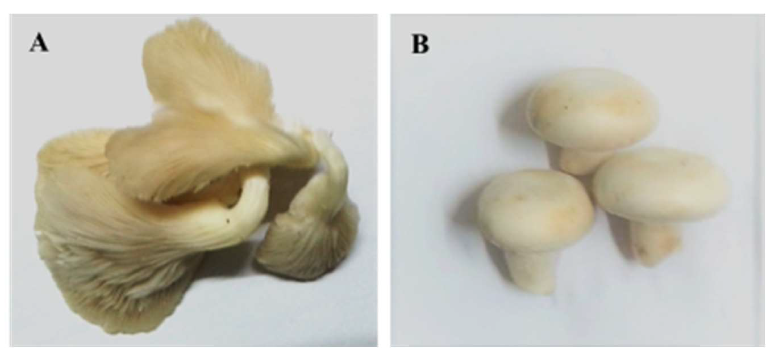 Biomolecules 10 01317 g001