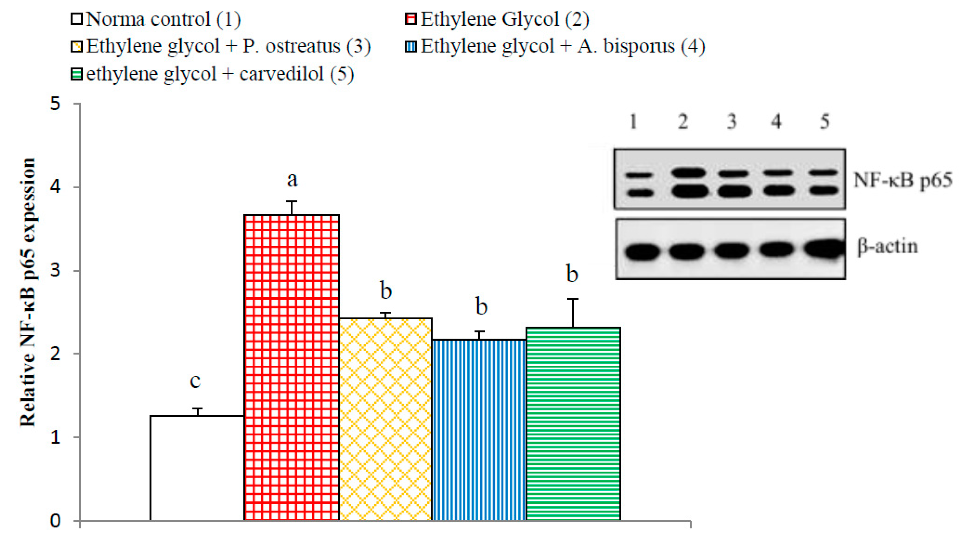 Biomolecules 10 01317 g021