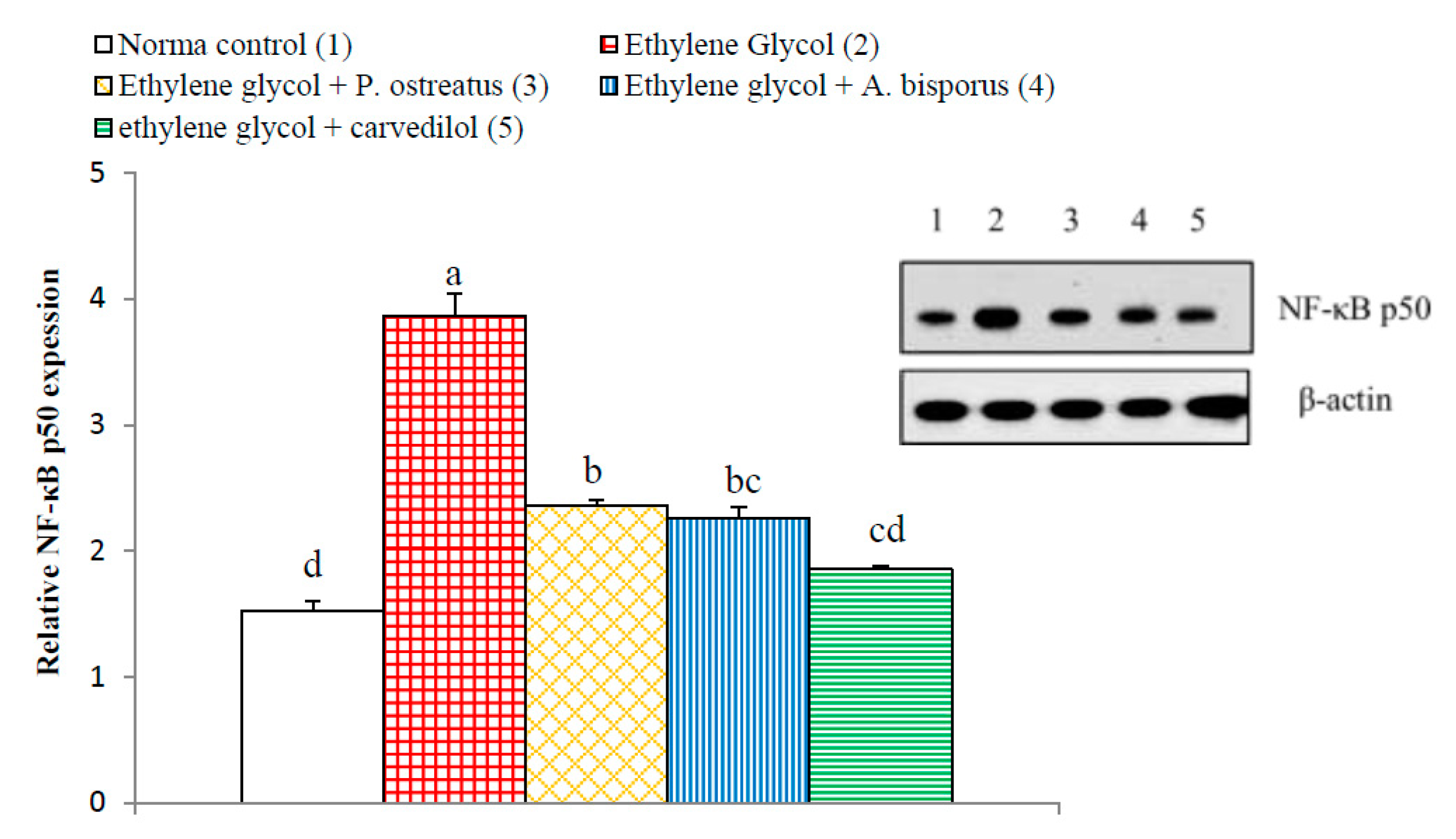 Biomolecules 10 01317 g022