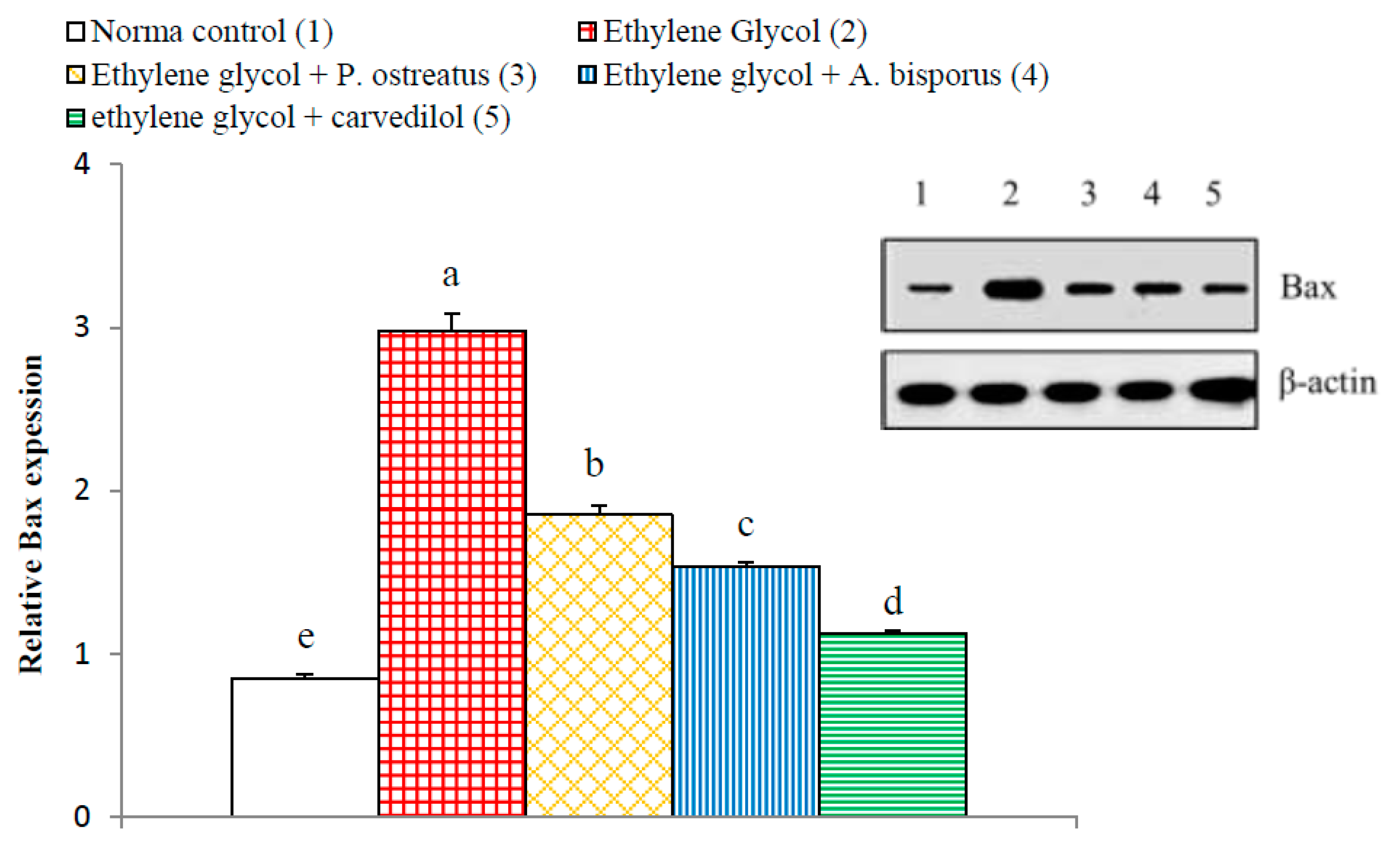Biomolecules 10 01317 g023