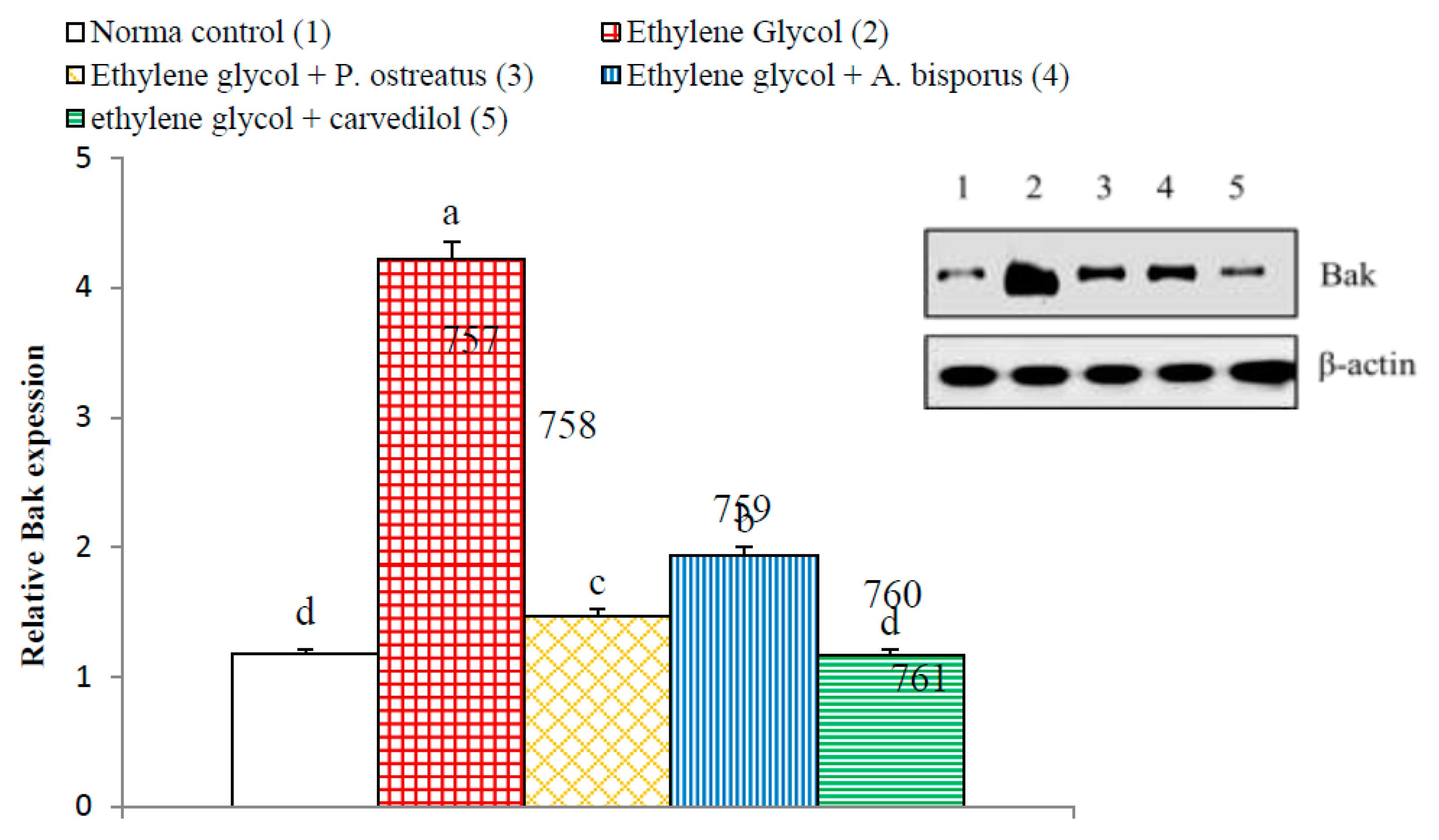 Biomolecules 10 01317 g024