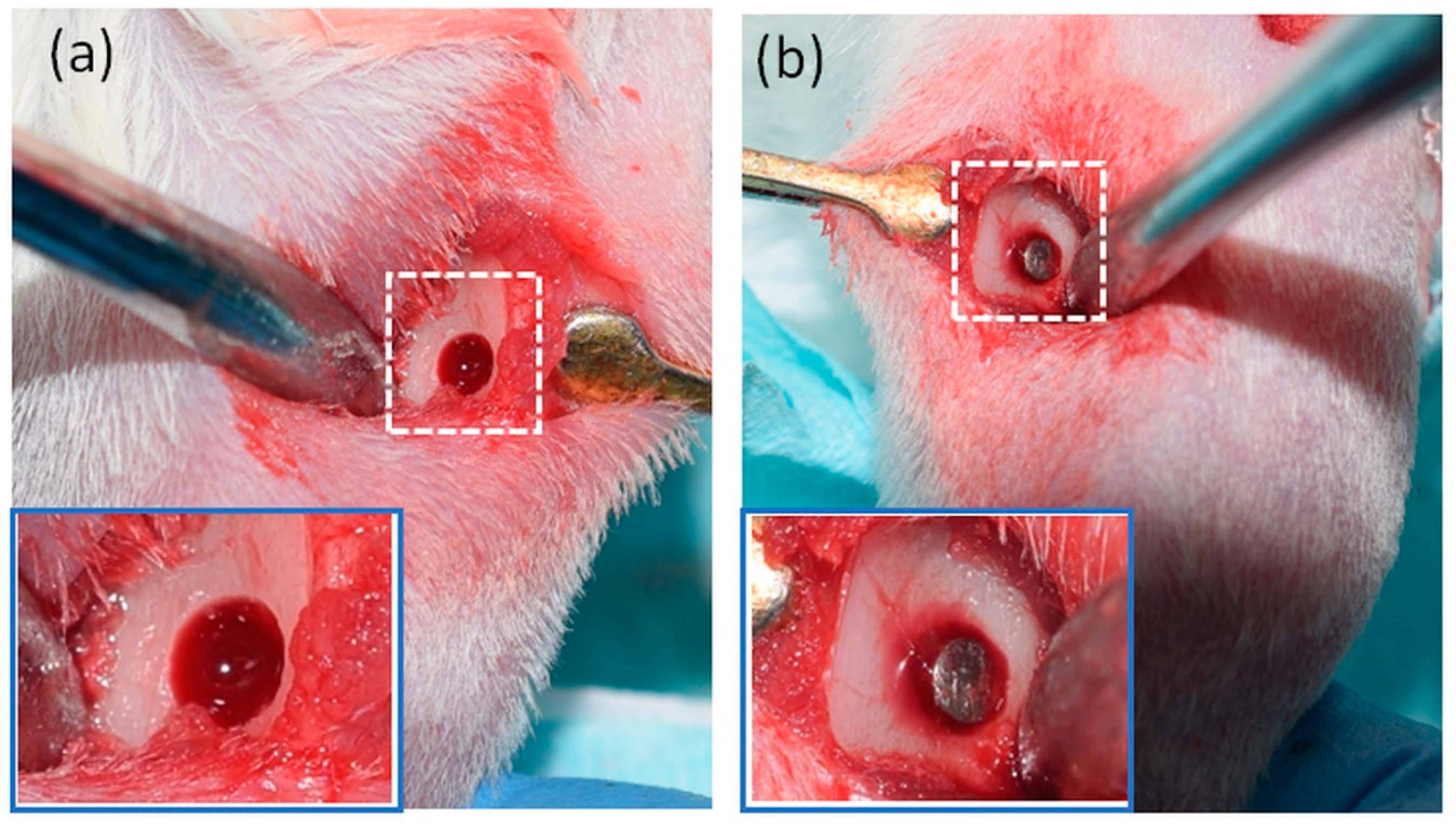 Biomolecules 10 01318 g001 Biomolecules 10 01318 g001