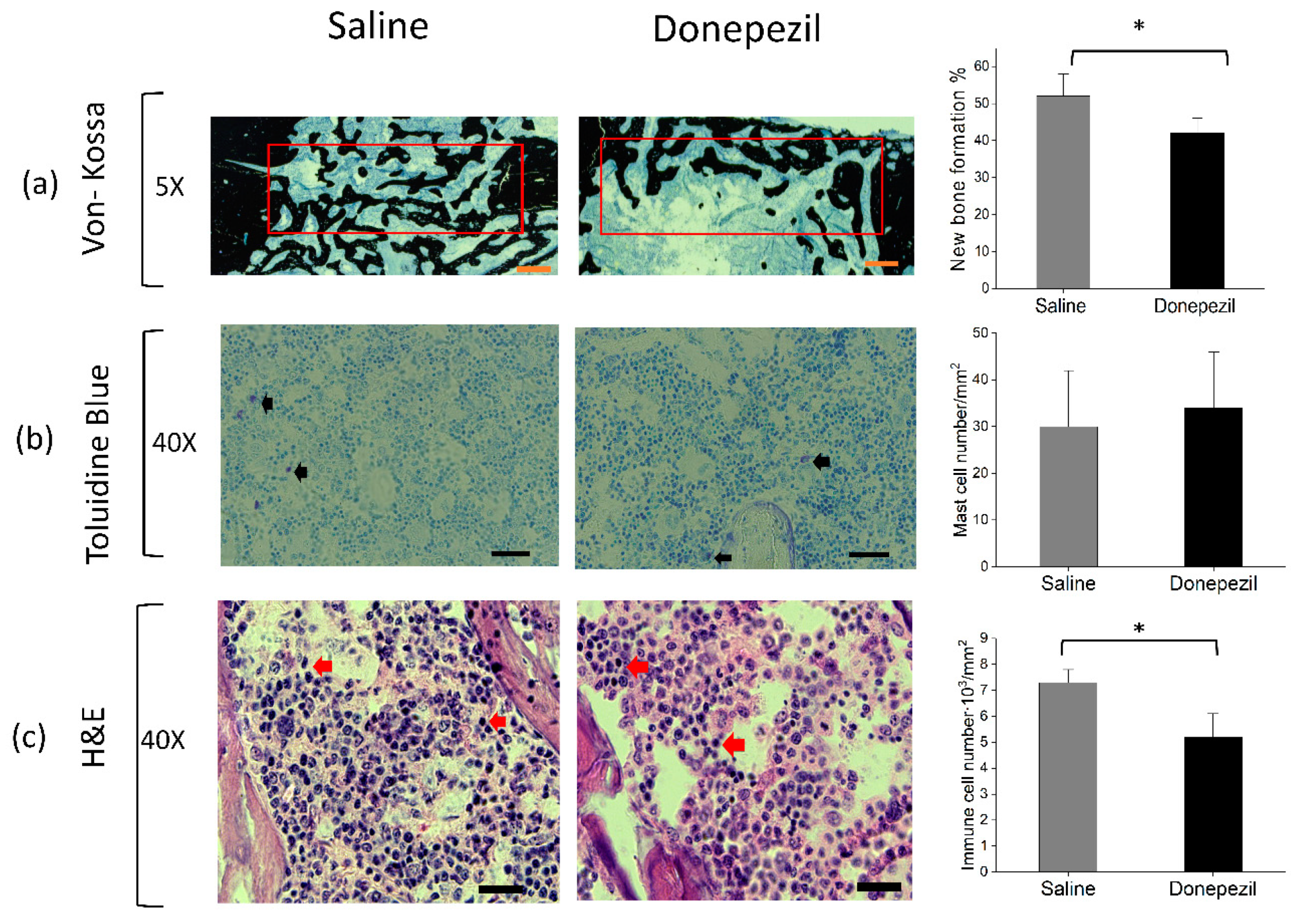 Biomolecules 10 01318 g004 Biomolecules 10 01318 g004