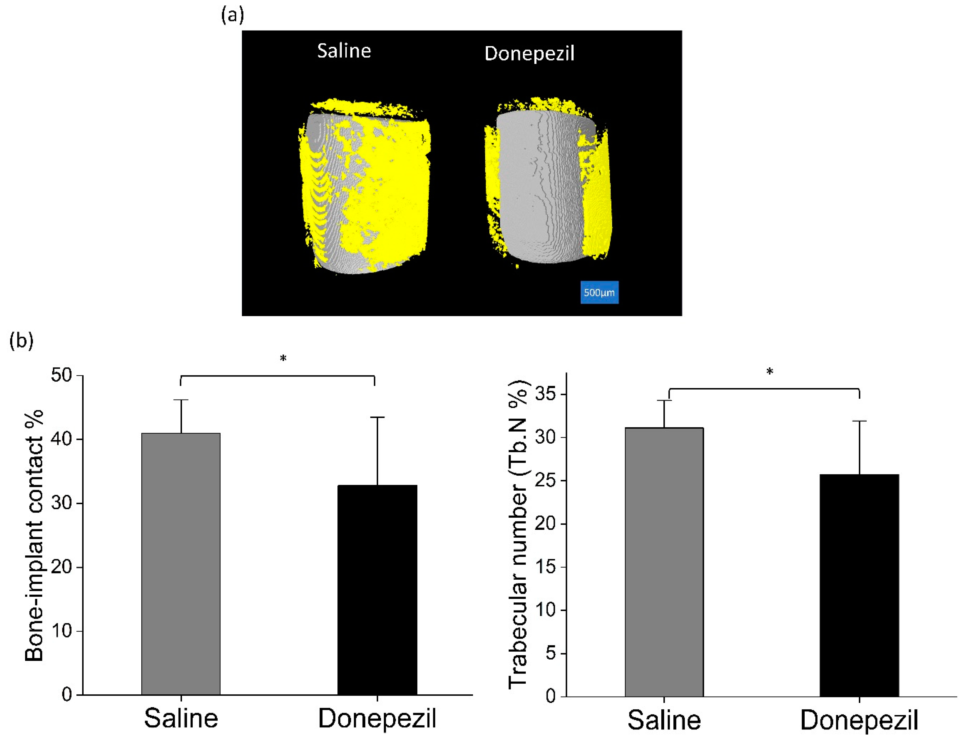 Biomolecules 10 01318 g005 Biomolecules 10 01318 g005