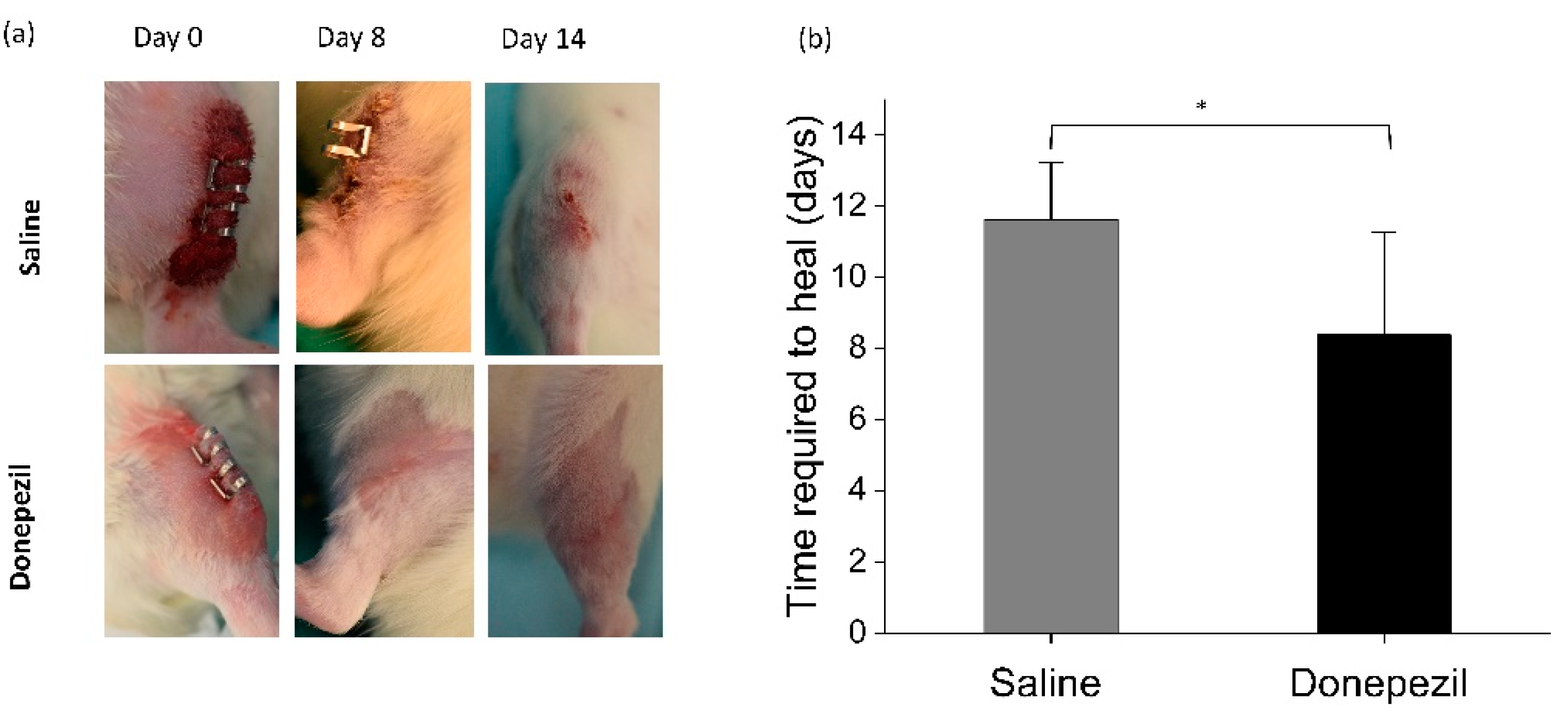 Biomolecules 10 01318 g006 Biomolecules 10 01318 g006
