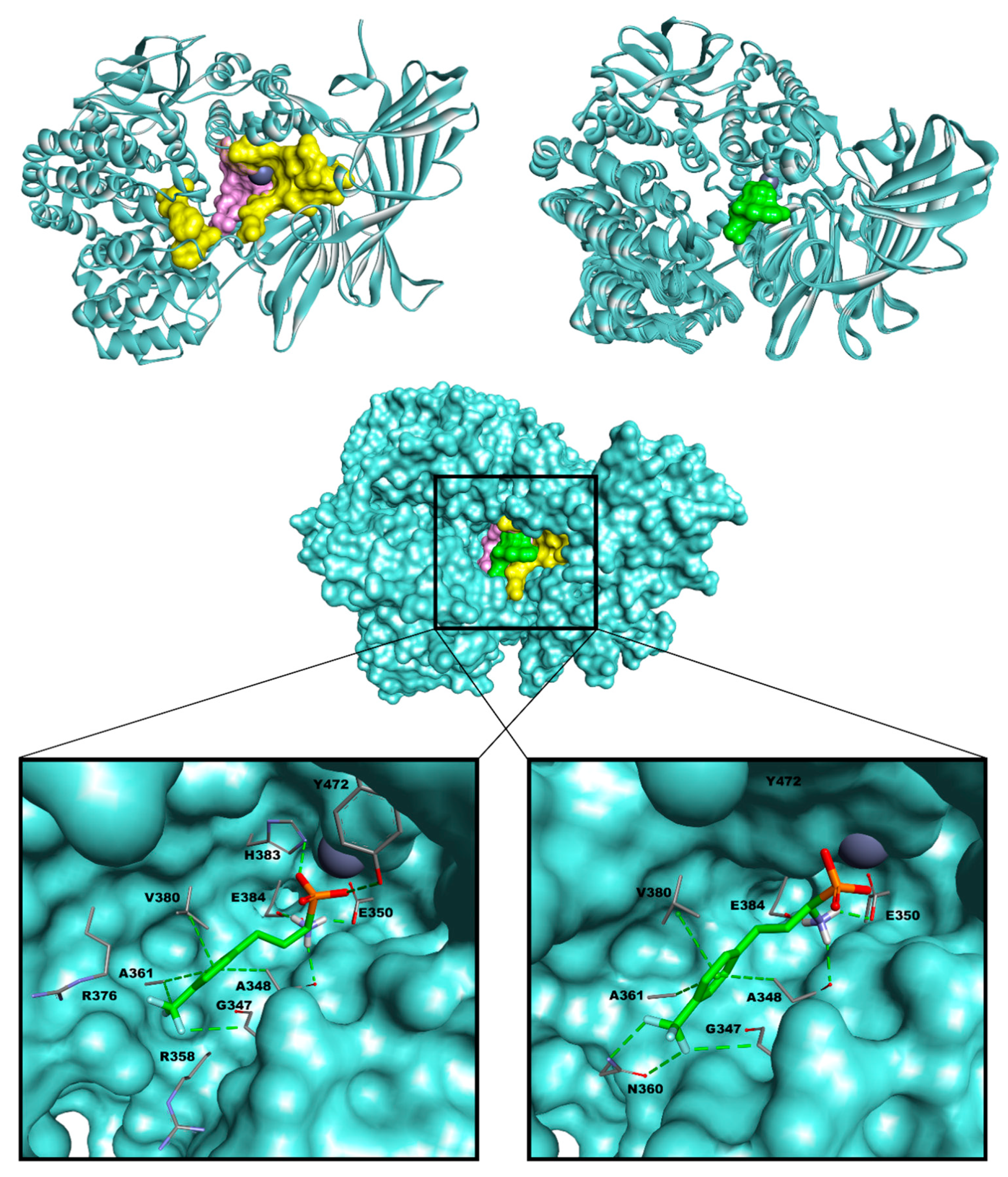 Biomolecules 10 01319 g001 Biomolecules 10 01319 g001