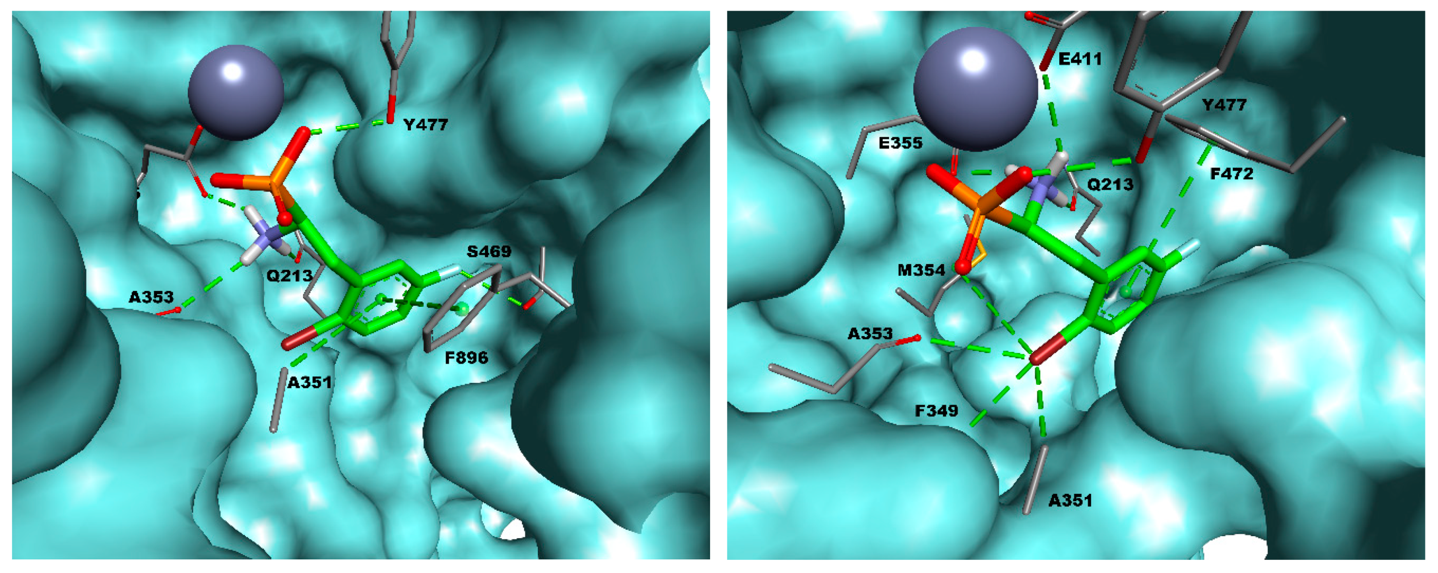 Biomolecules 10 01319 g003 Biomolecules 10 01319 g003
