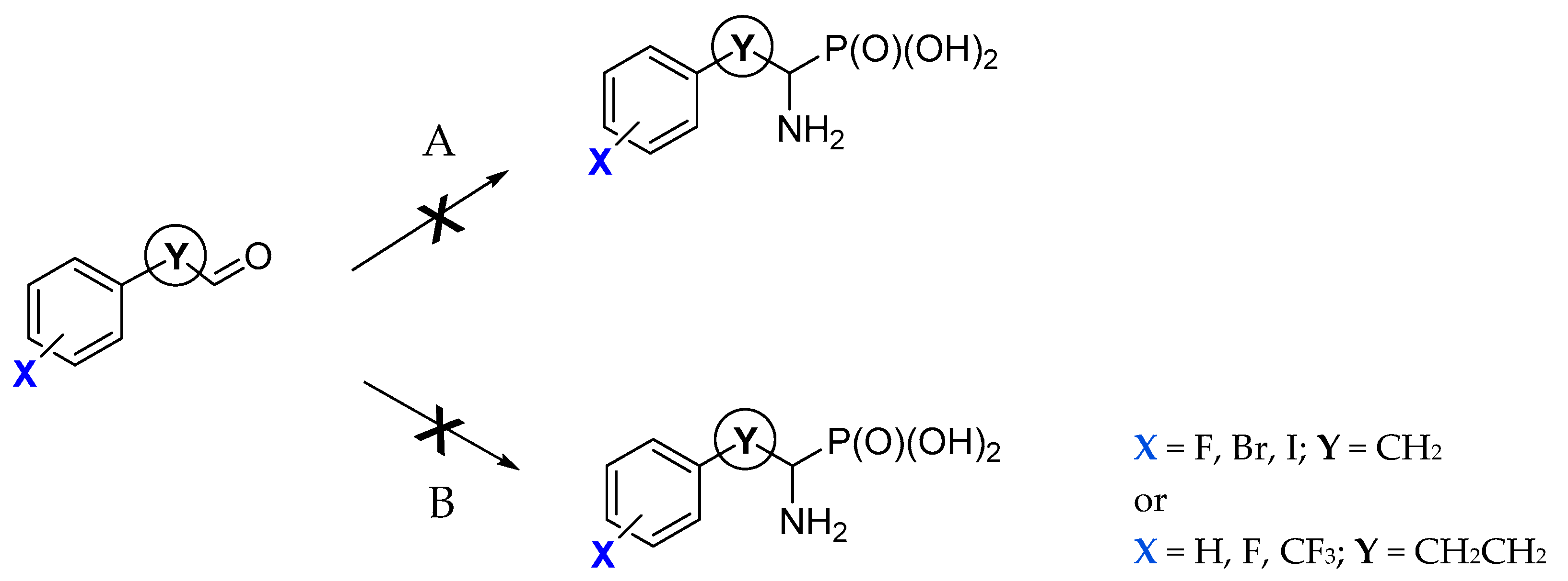 Biomolecules Free Full Text Synthesis And Inhibitory Studies Of Phosphonic Acid Analogues Of Homophenylalanine And Phenylalanine Towards Alanyl Aminopeptidases Html