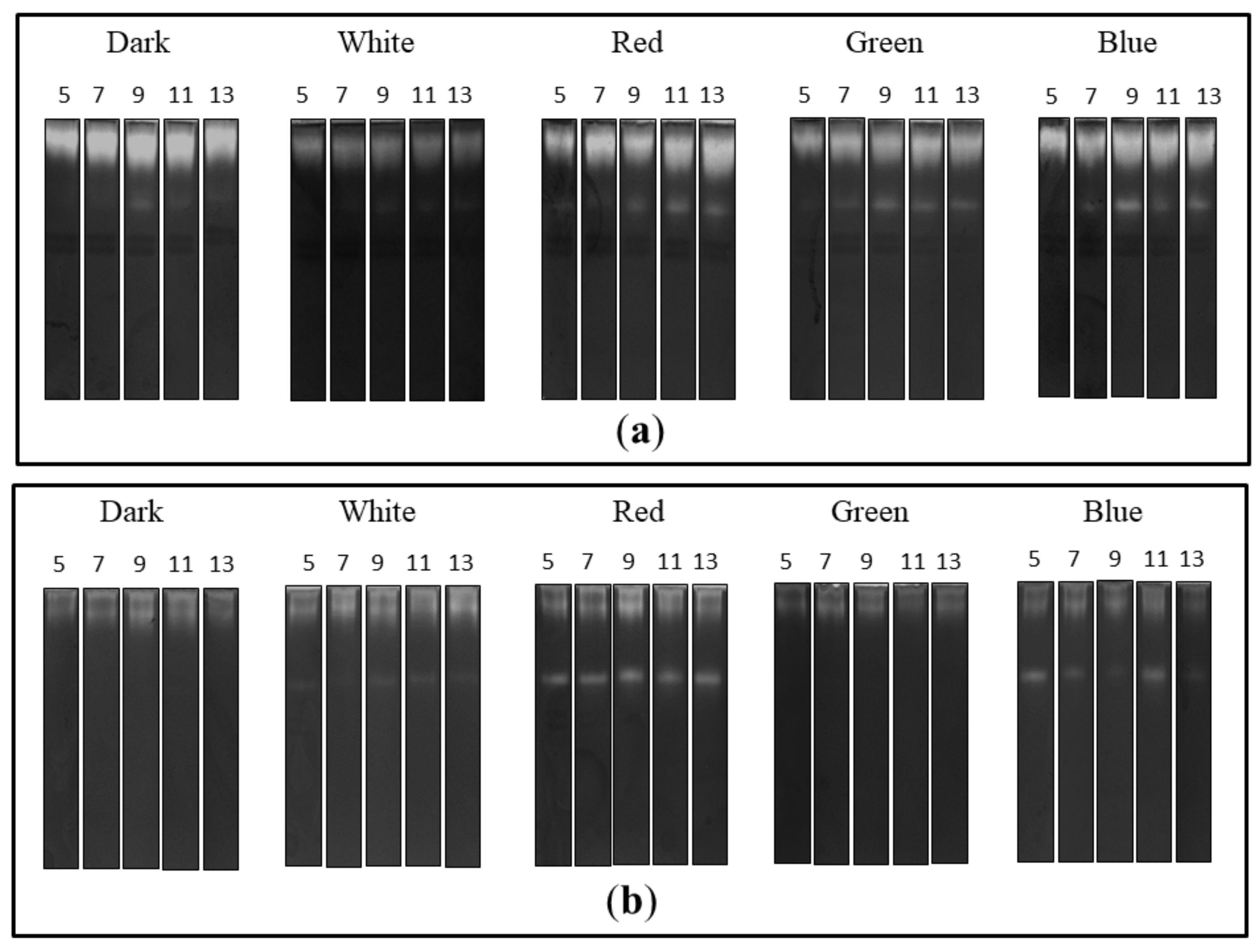 Biomolecules 10 01322 g003 Biomolecules 10 01322 g003