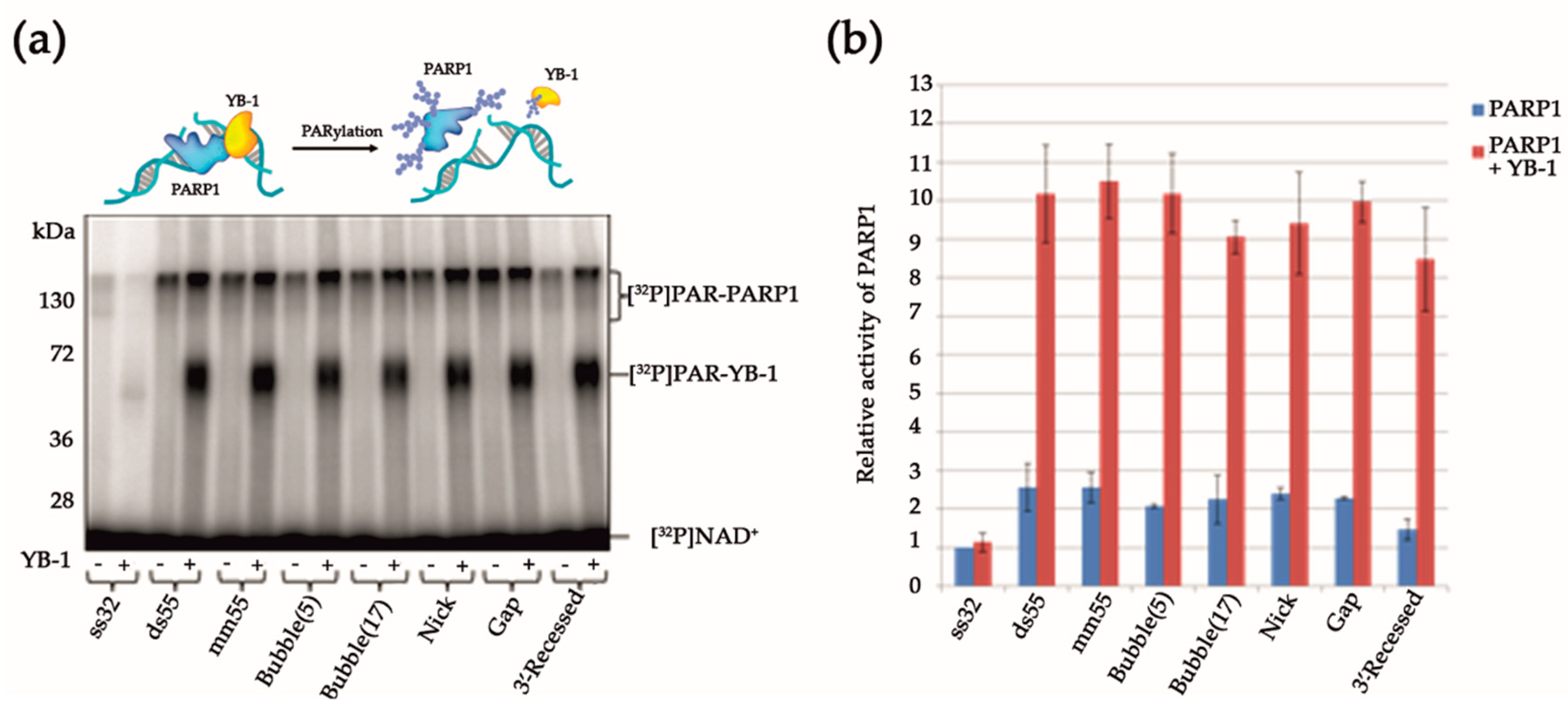 Biomolecules 10 01325 g002 Biomolecules 10 01325 g002