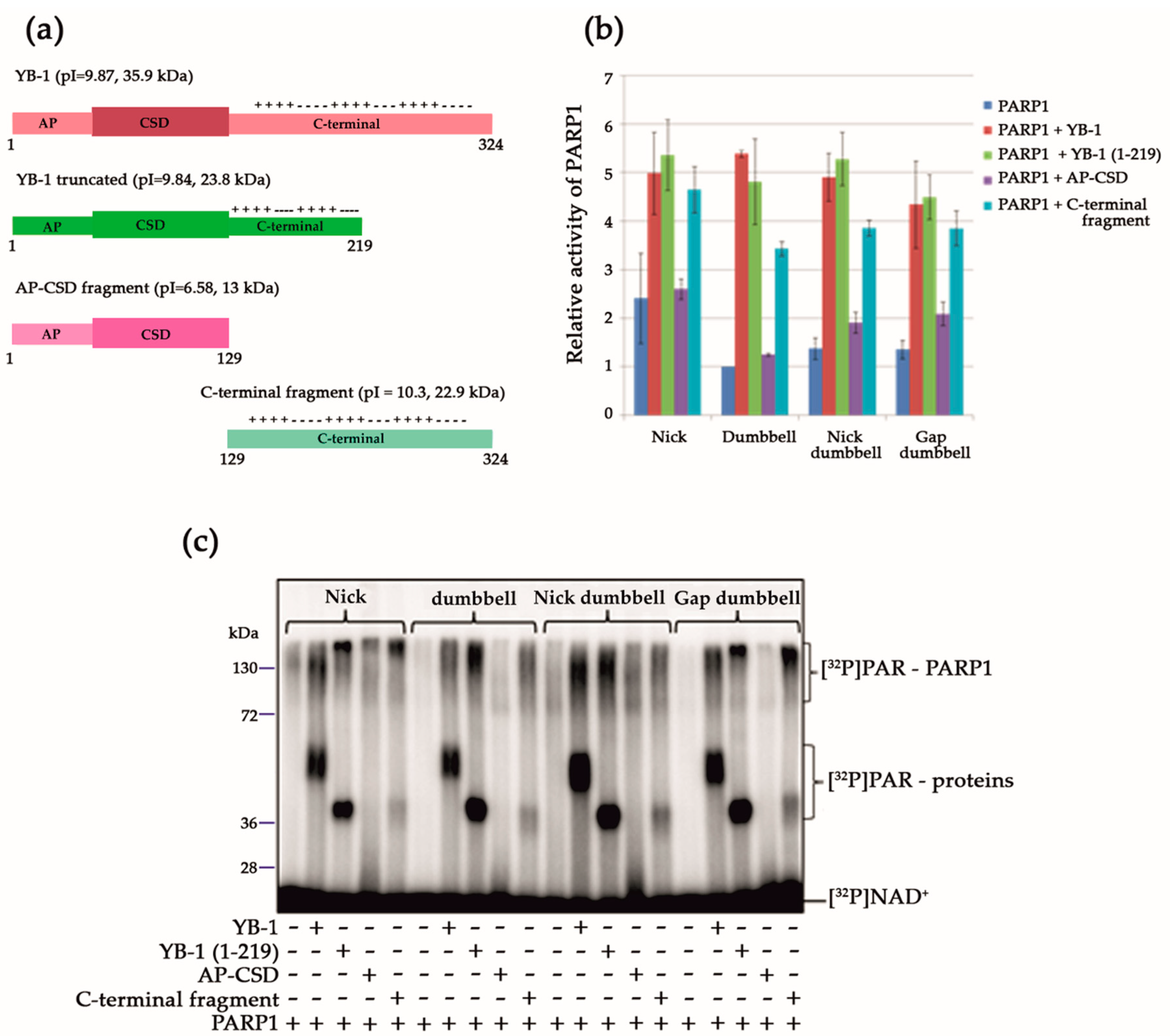 Biomolecules 10 01325 g003 Biomolecules 10 01325 g003