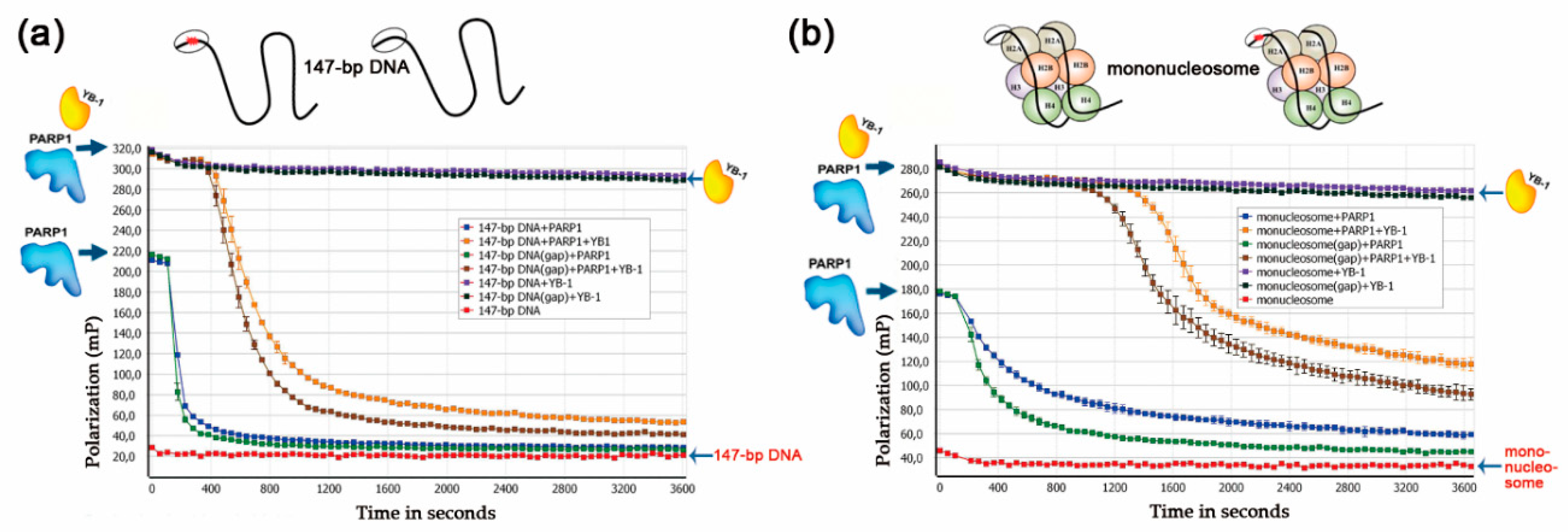 Biomolecules 10 01325 g005 Biomolecules 10 01325 g005