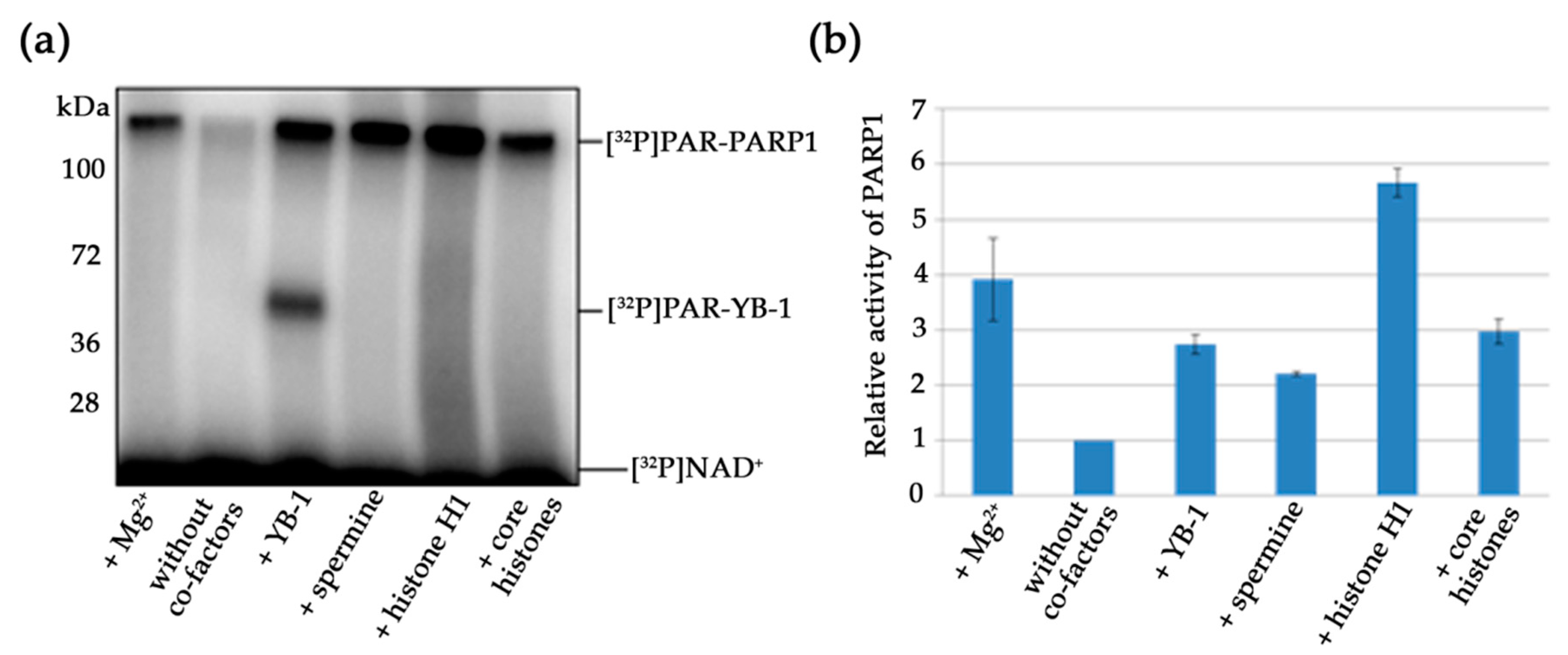 Biomolecules 10 01325 g006 Biomolecules 10 01325 g006