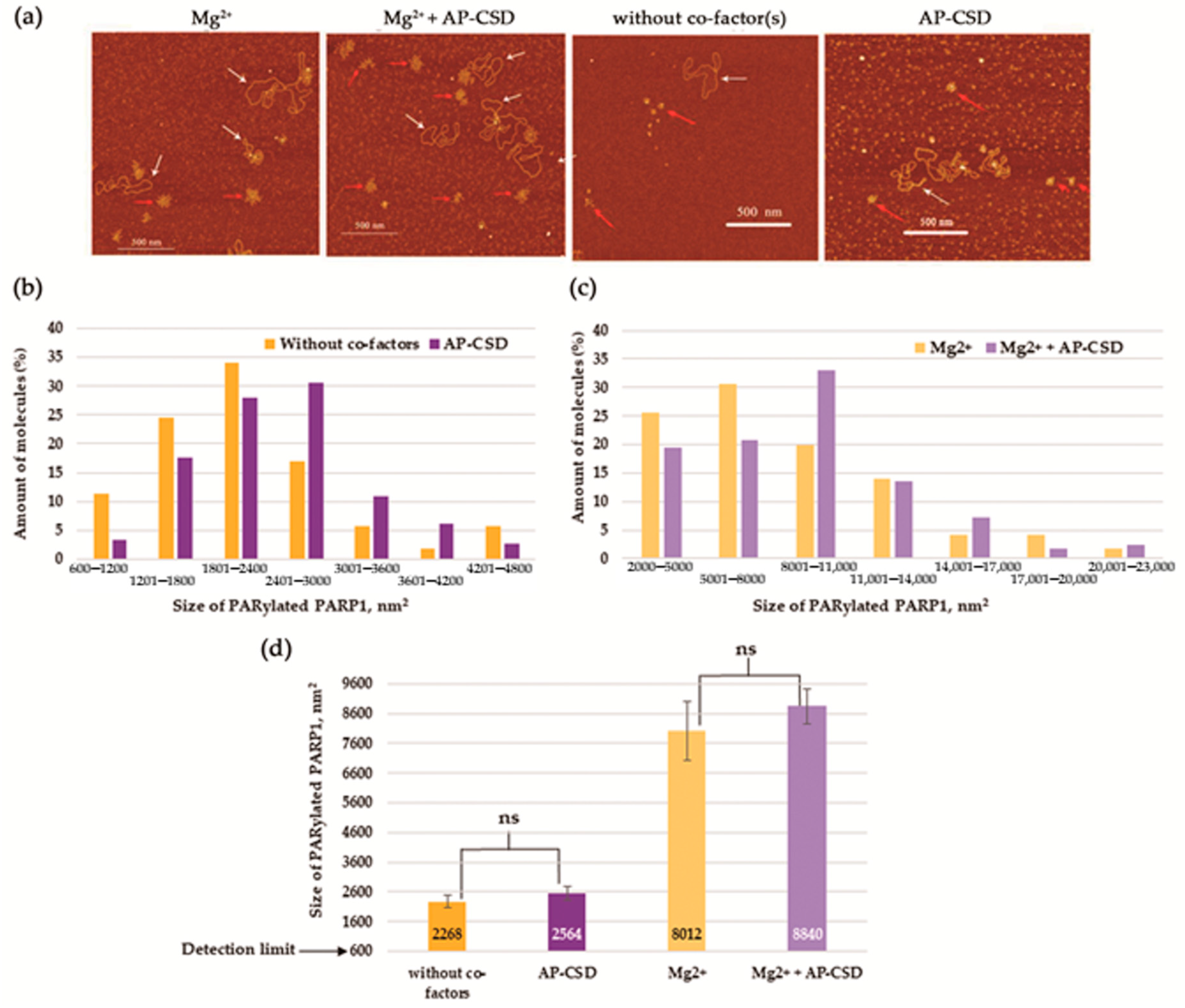 Biomolecules 10 01325 g010 Biomolecules 10 01325 g010