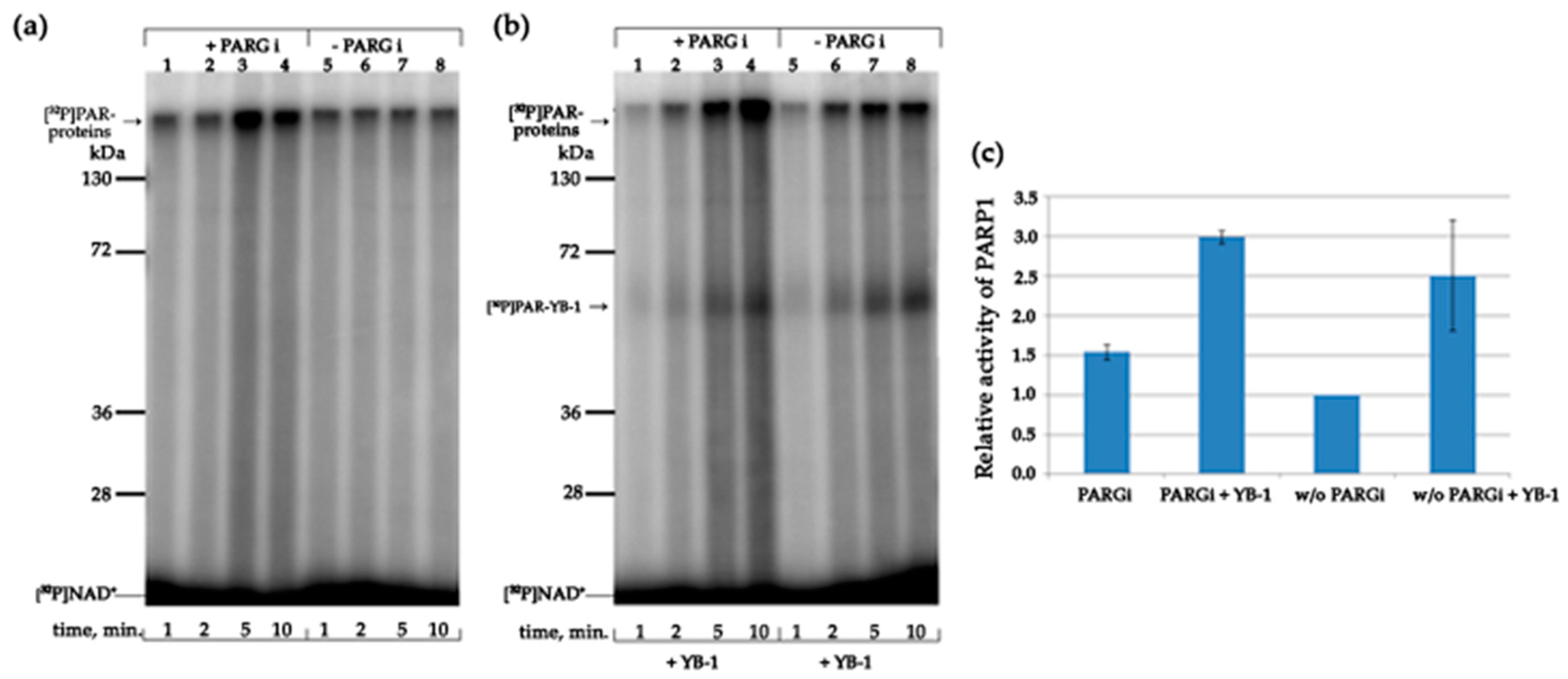 Biomolecules 10 01325 g011 Biomolecules 10 01325 g011