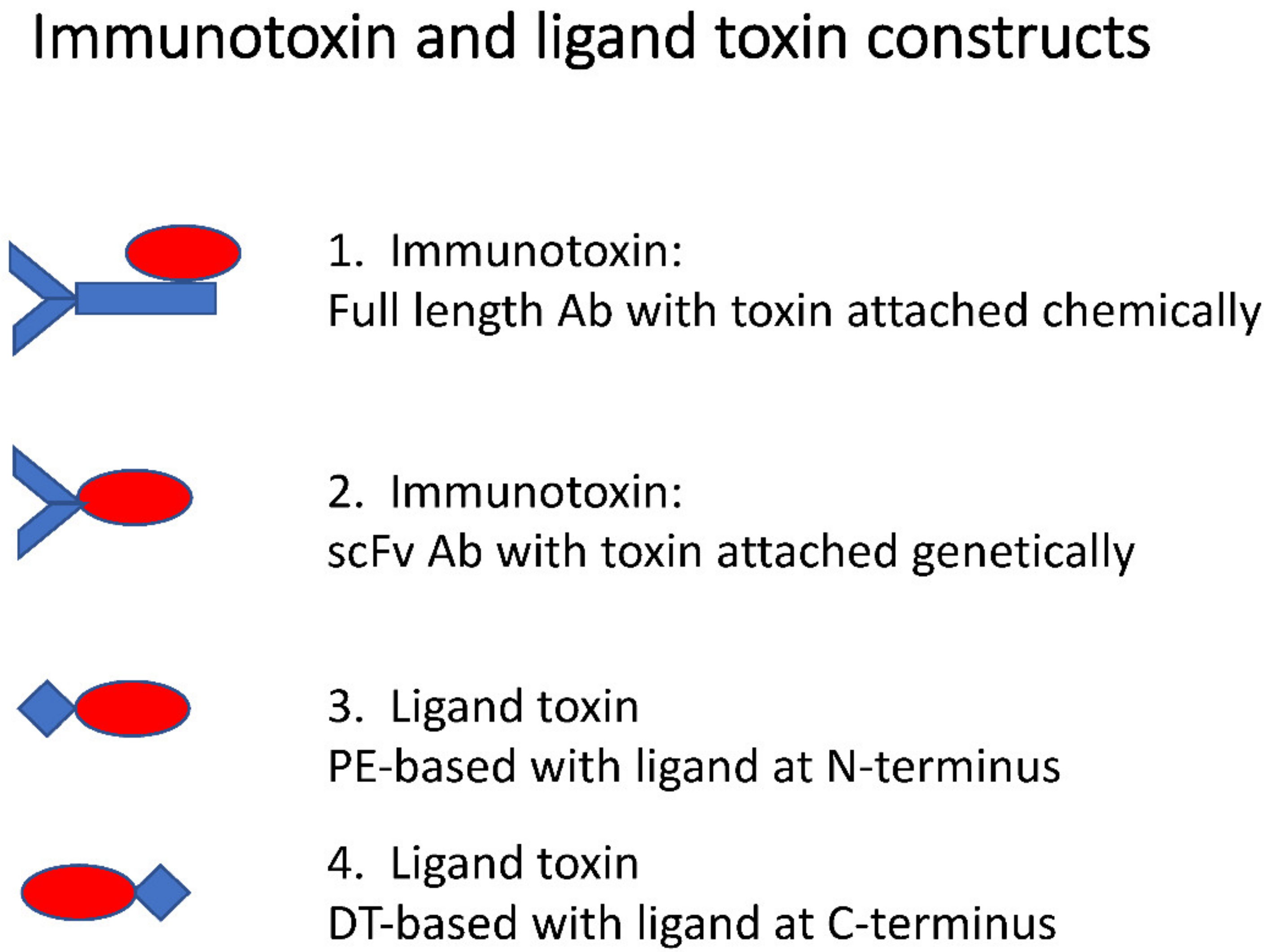 Biomolecules 10 01331 g001 Biomolecules 10 01331 g001