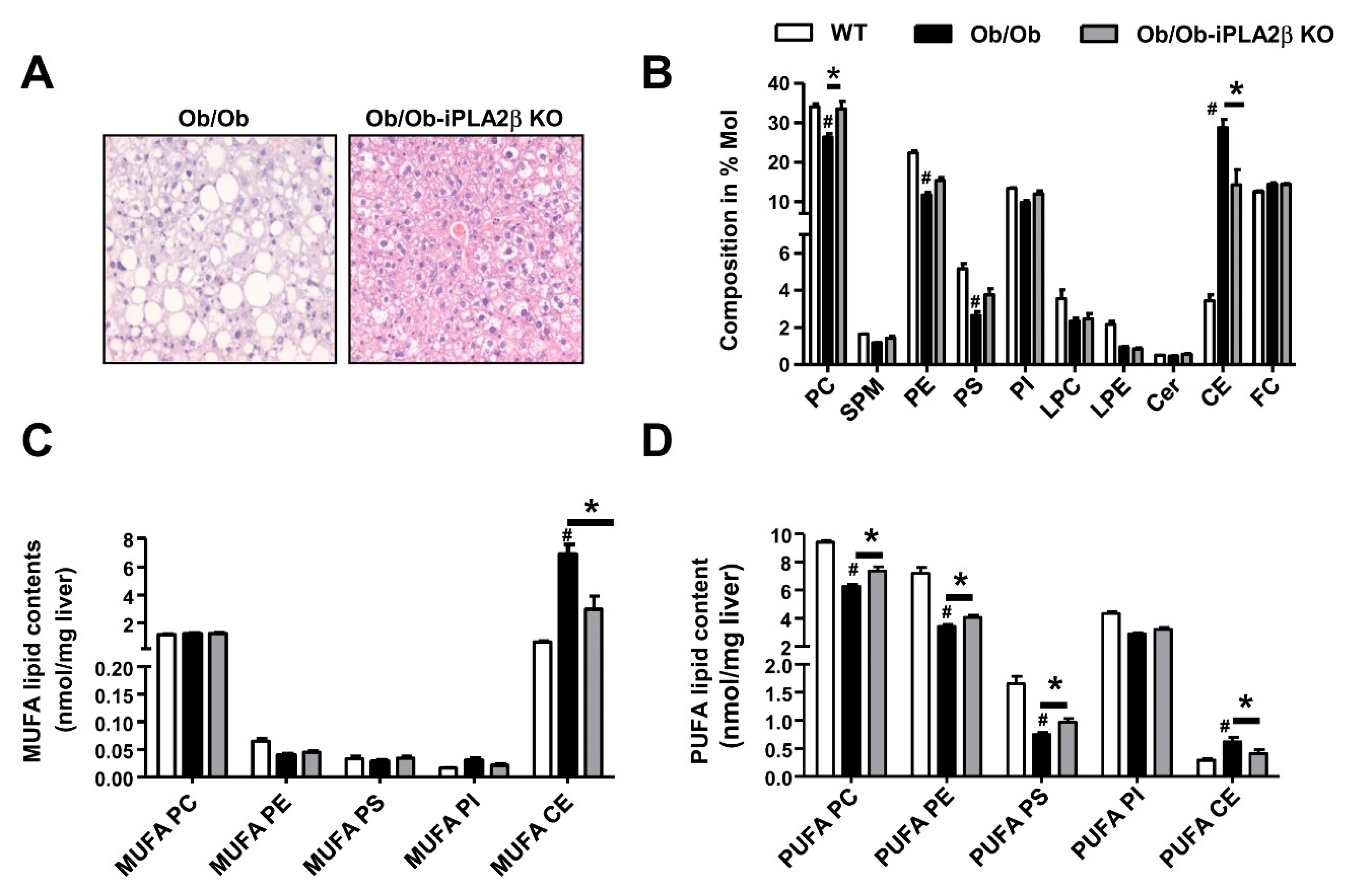 Biomolecules 10 01332 g002 Biomolecules 10 01332 g002