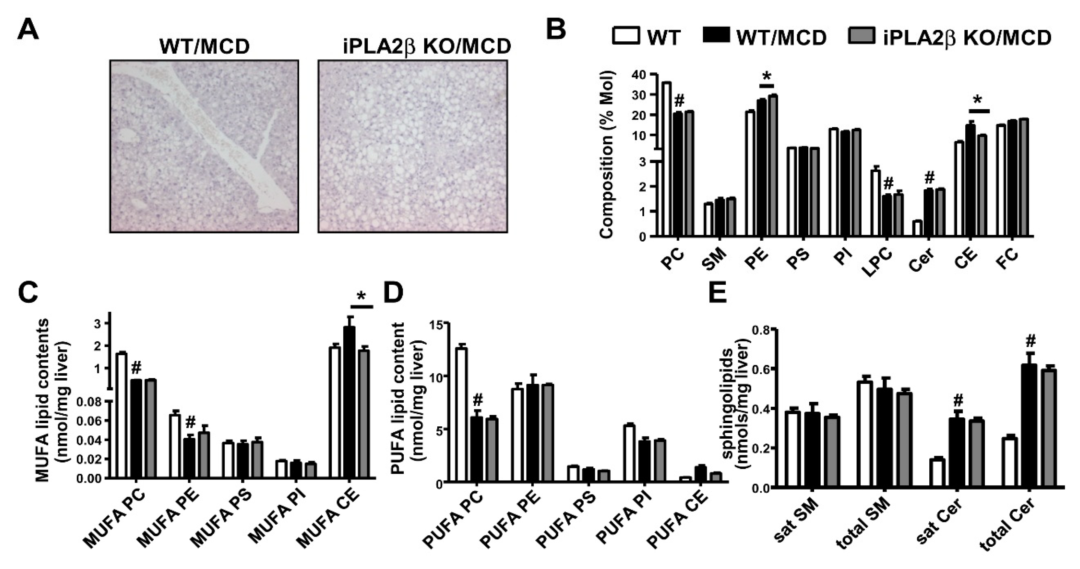 Biomolecules 10 01332 g005 Biomolecules 10 01332 g005
