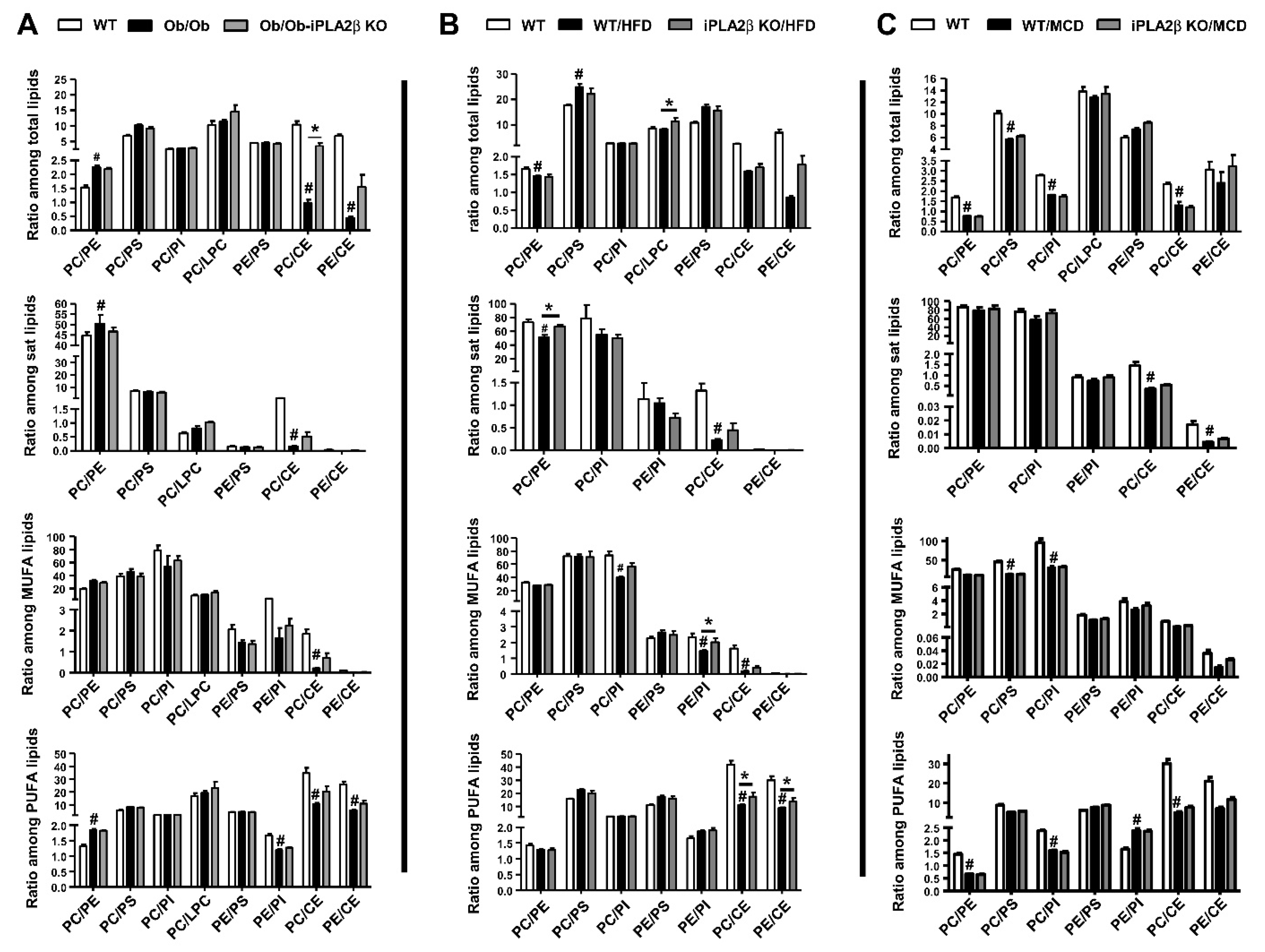 Biomolecules 10 01332 g007 Biomolecules 10 01332 g007