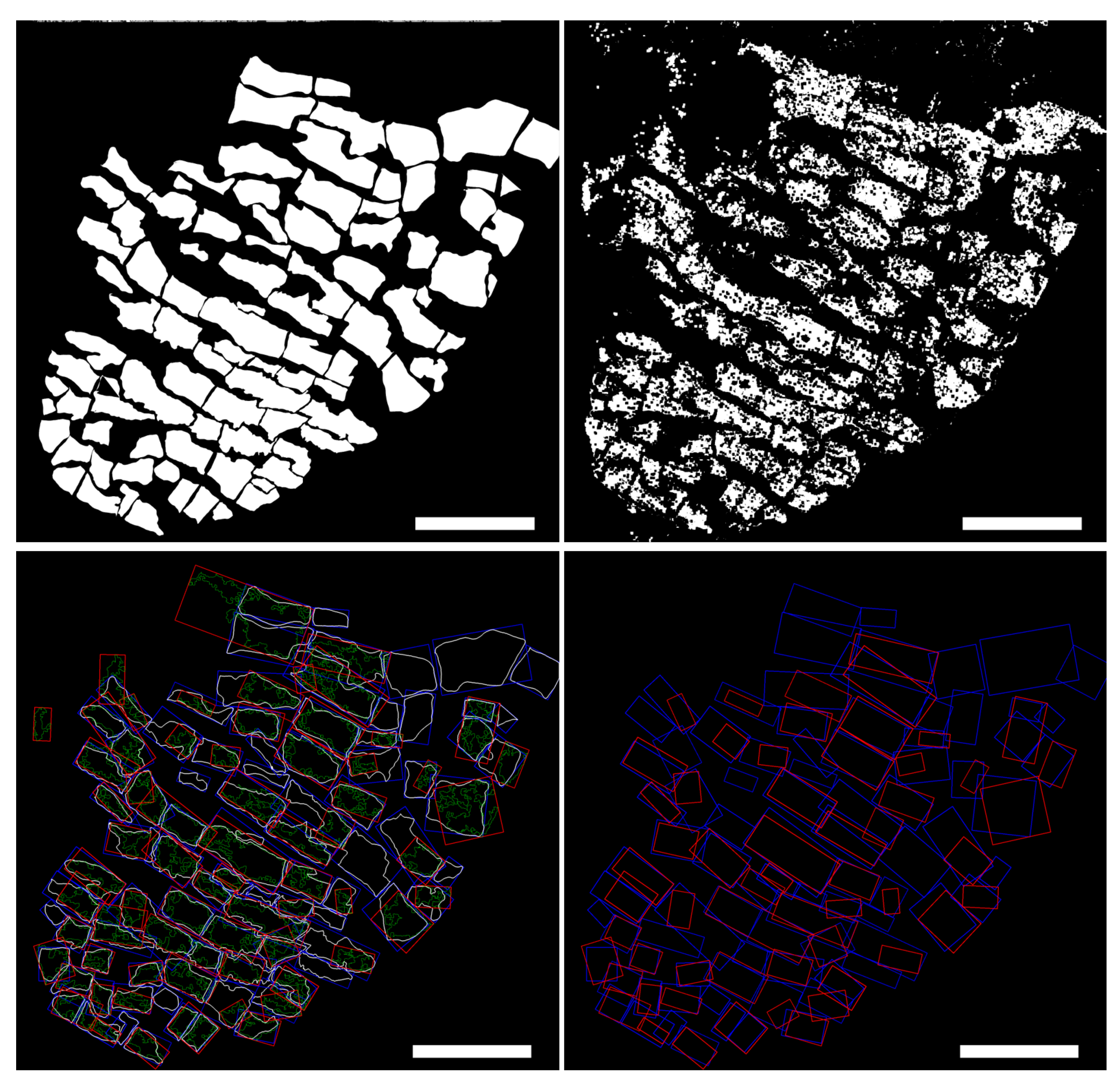Biomolecules 10 01334 g006