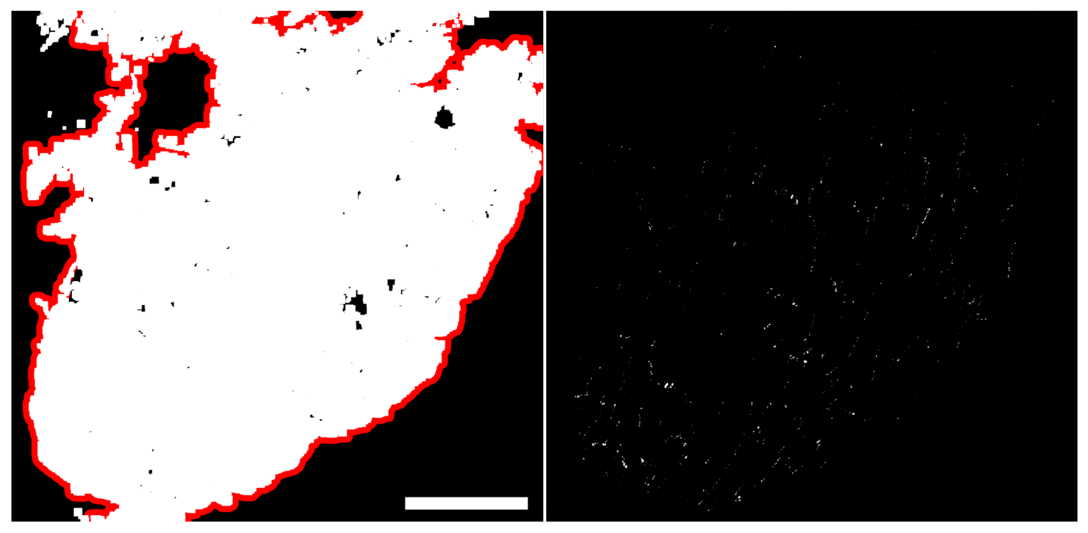 Biomolecules 10 01334 g010