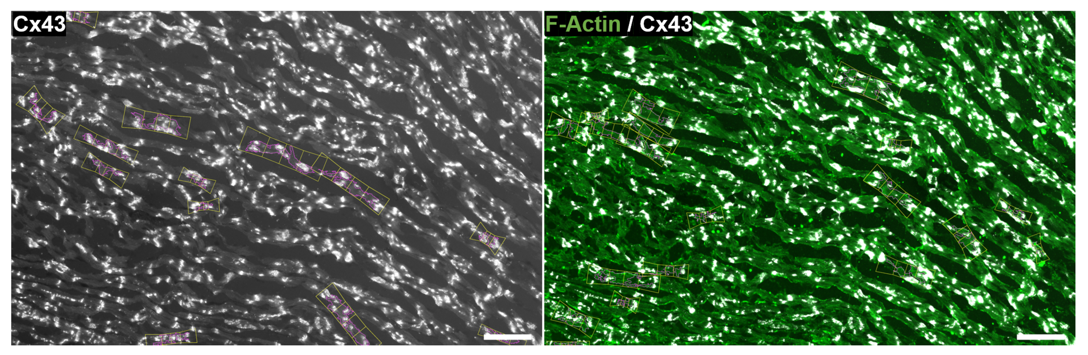 Biomolecules 10 01334 g013