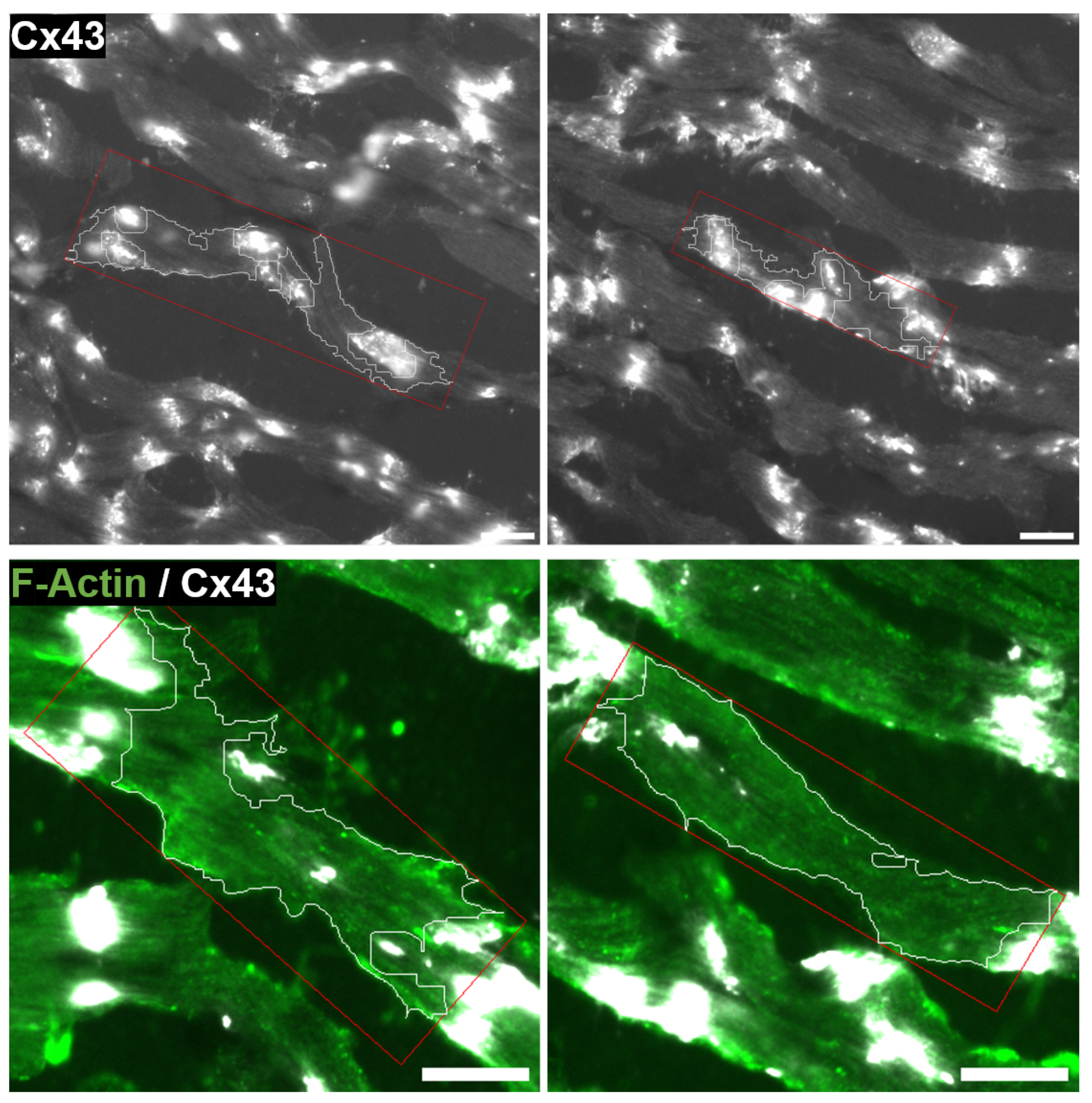 Biomolecules 10 01334 g014