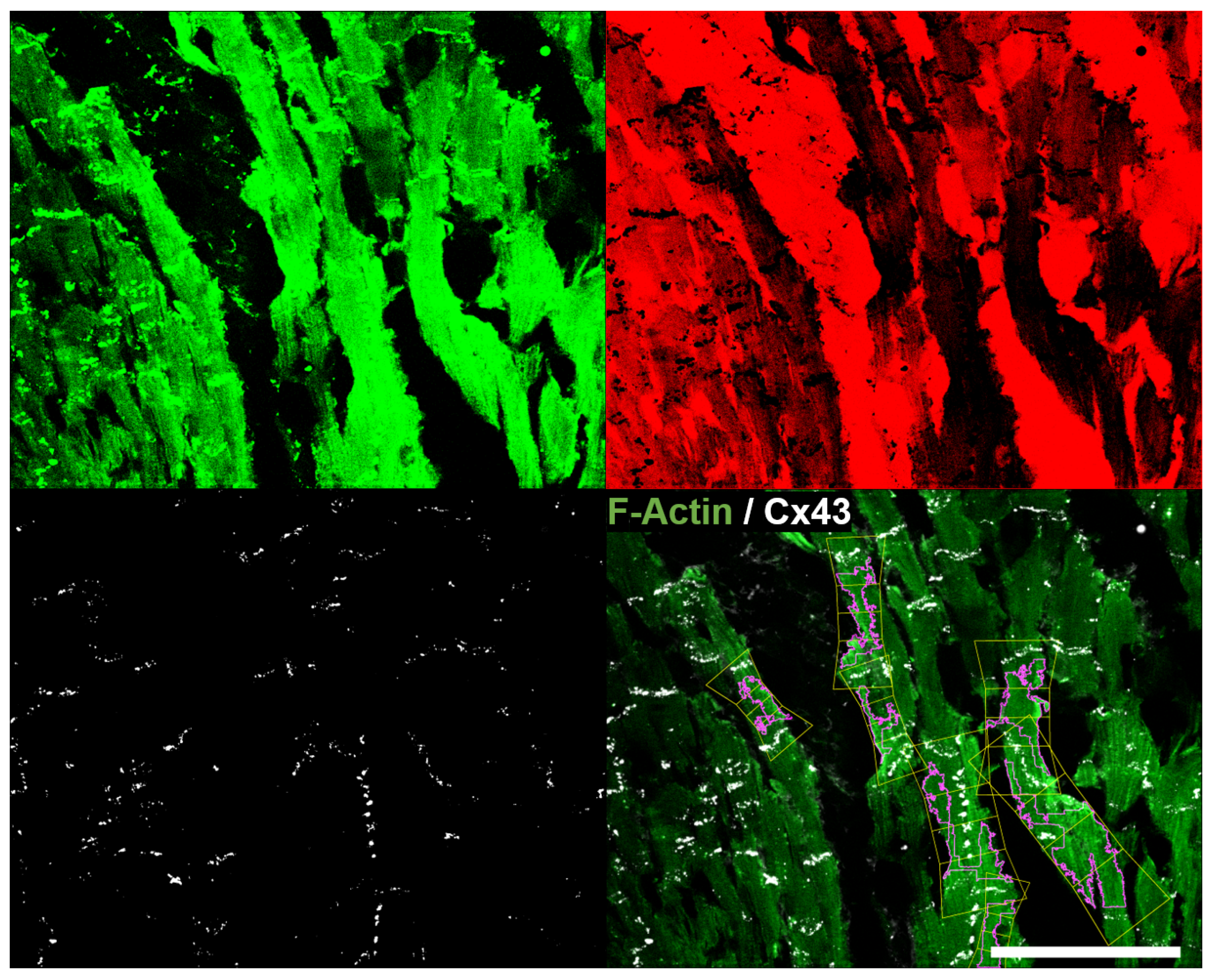 Biomolecules 10 01334 g015