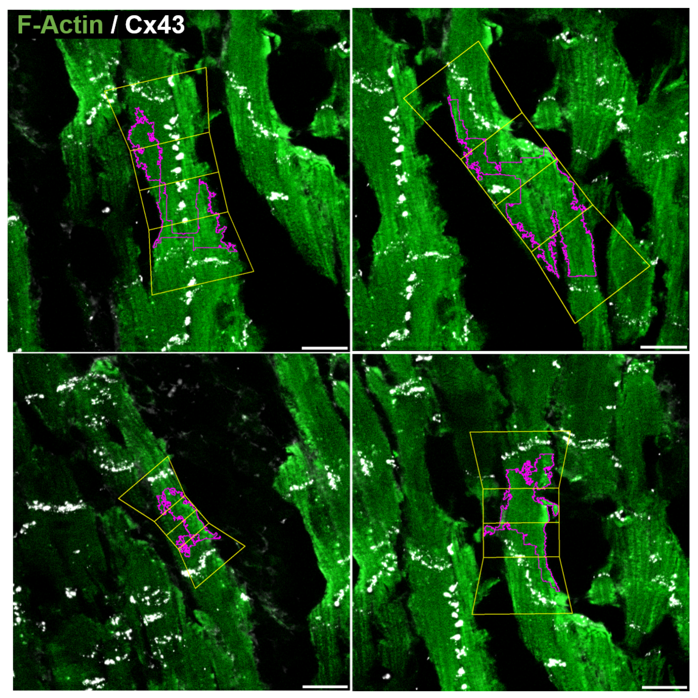 Biomolecules 10 01334 g016